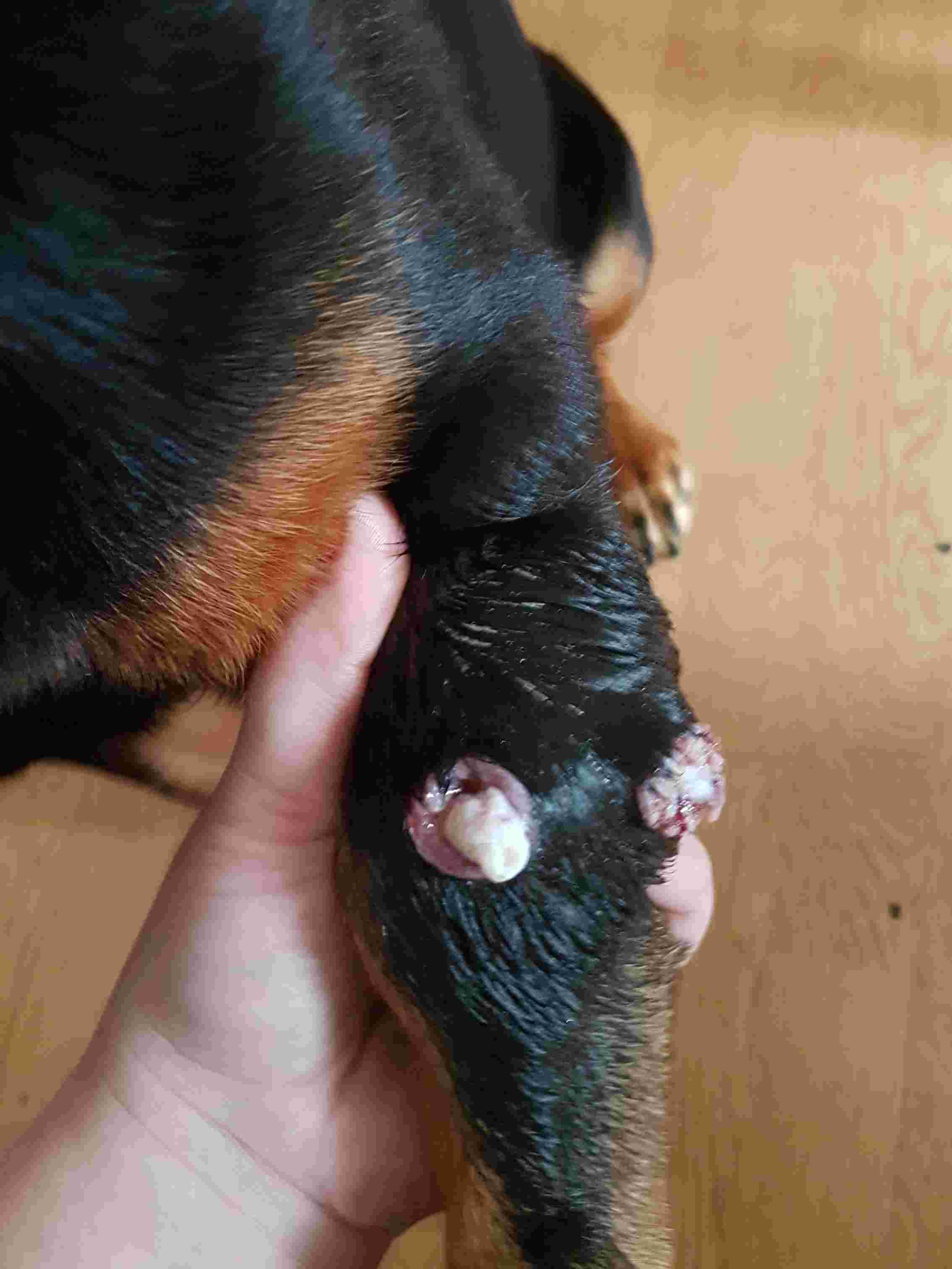 Question details sensitive content