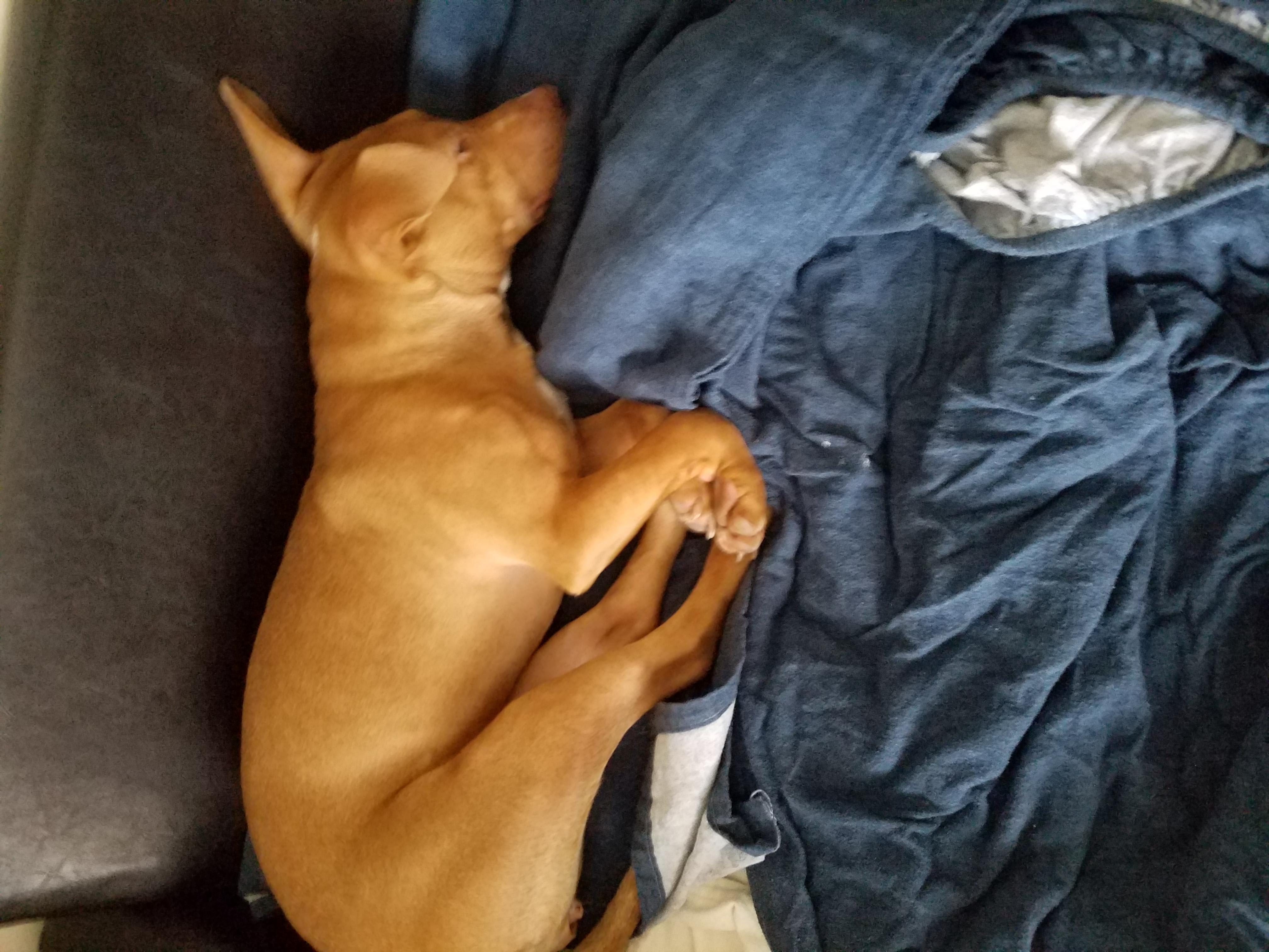 Question details sensitive content