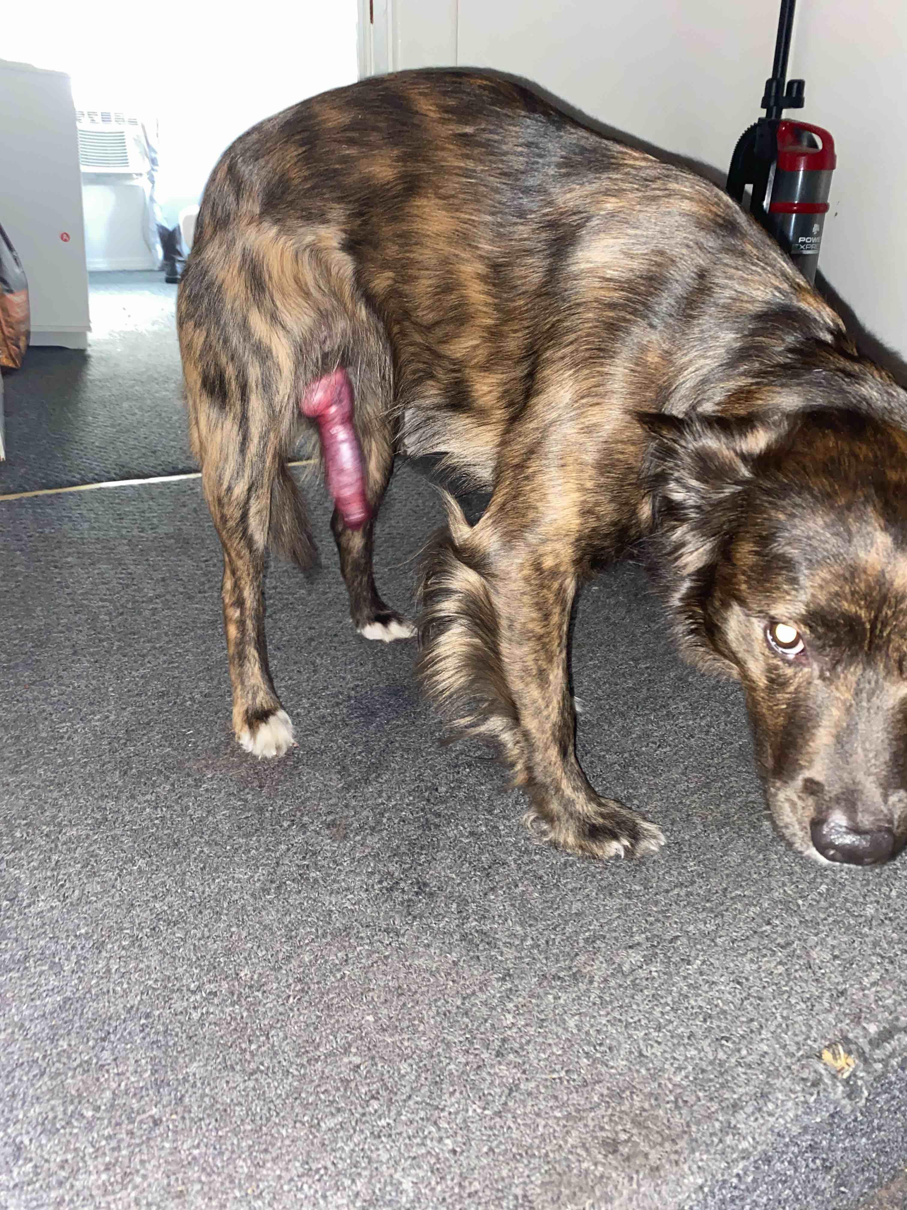 Question details sensitive content