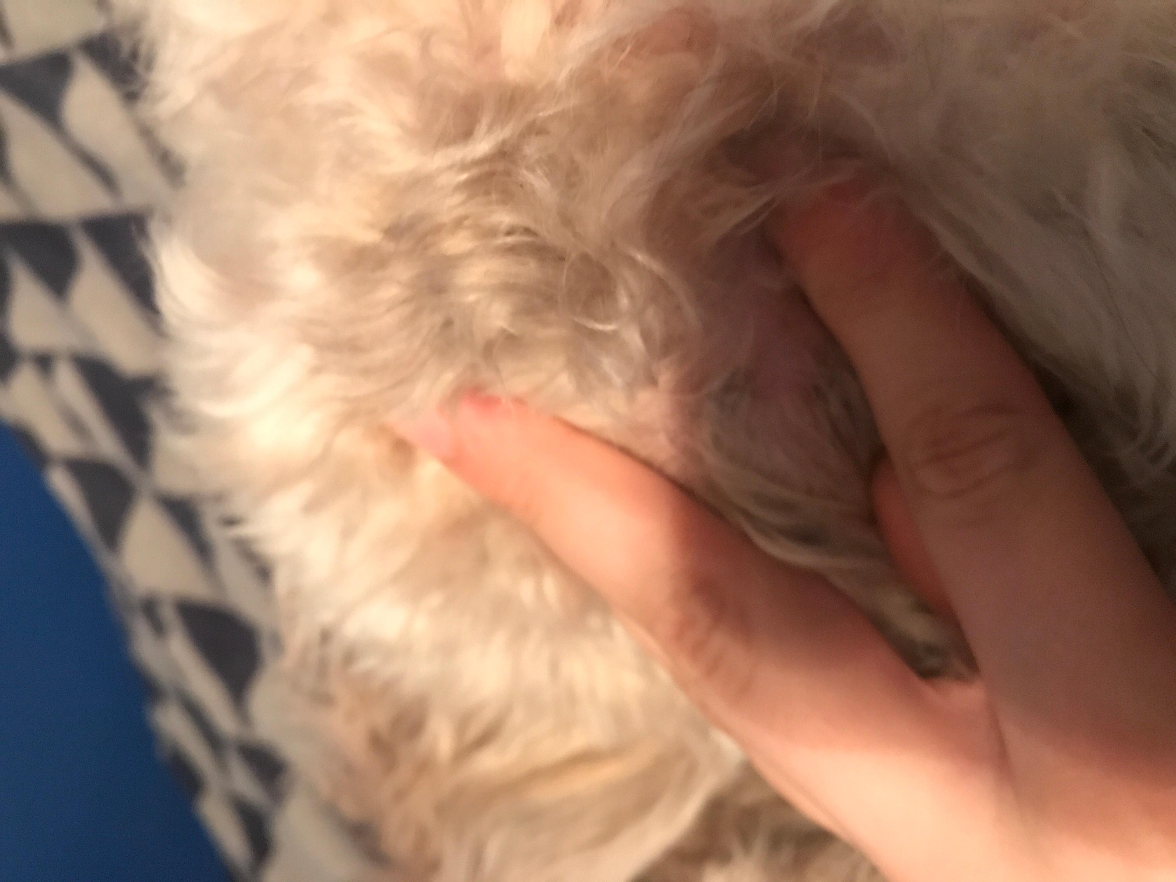 Question details sensitive content