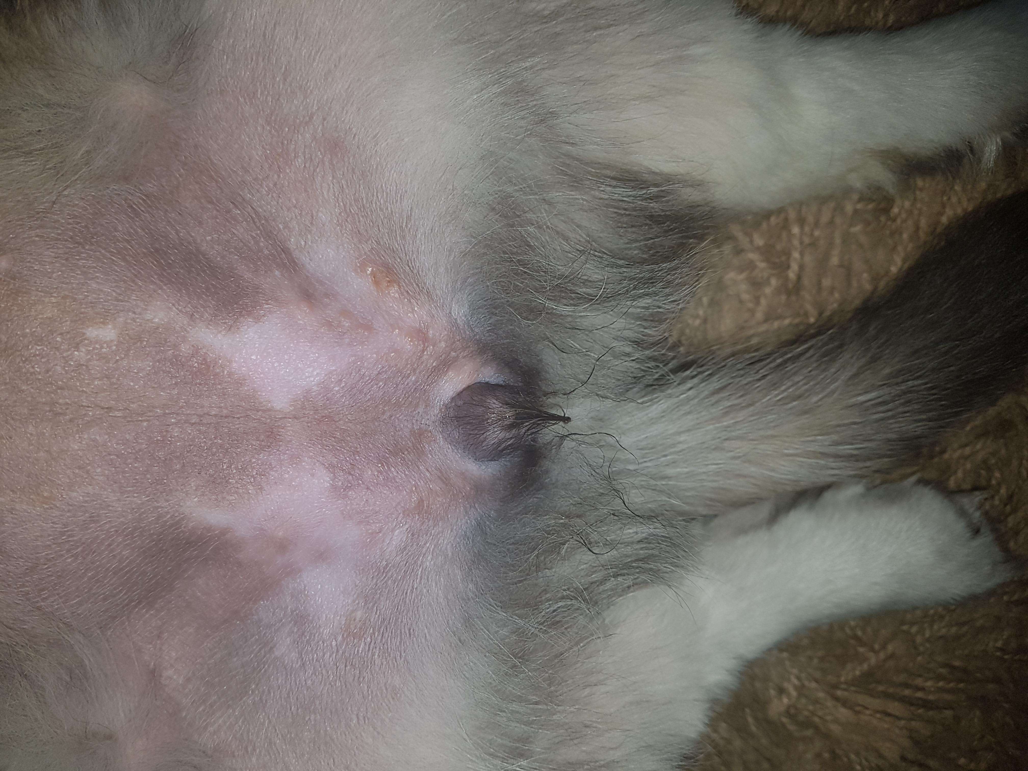 Question details sensitive content