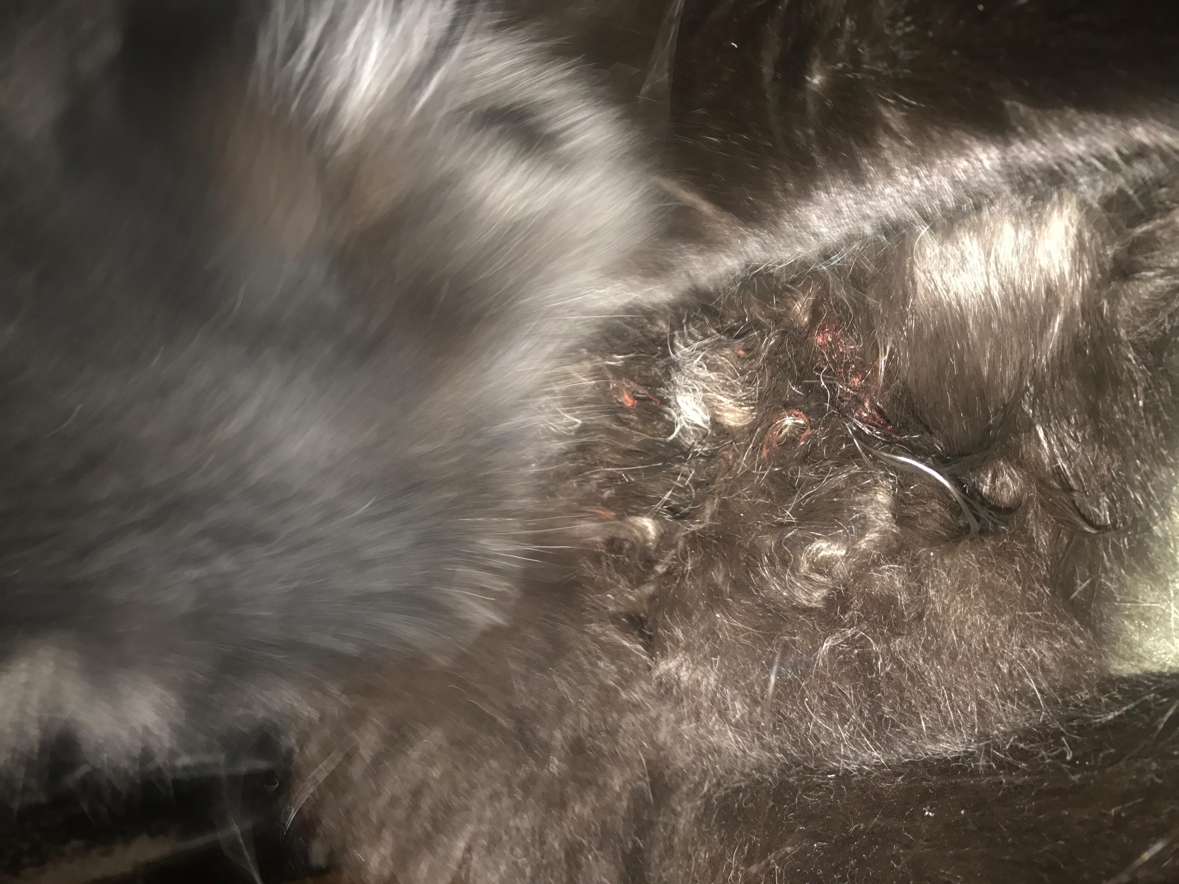 Question details sensitive content