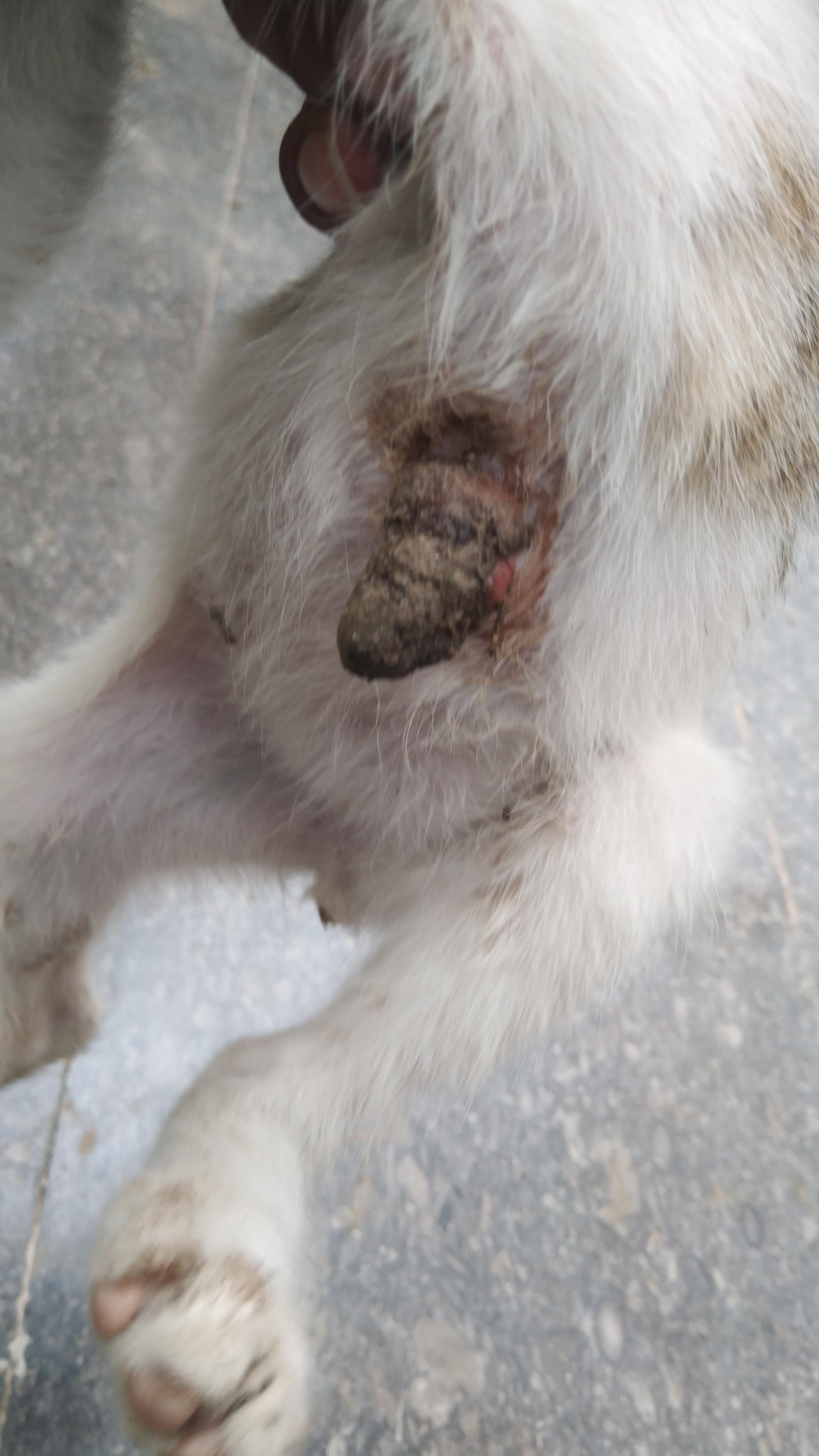 Question details sensitive content