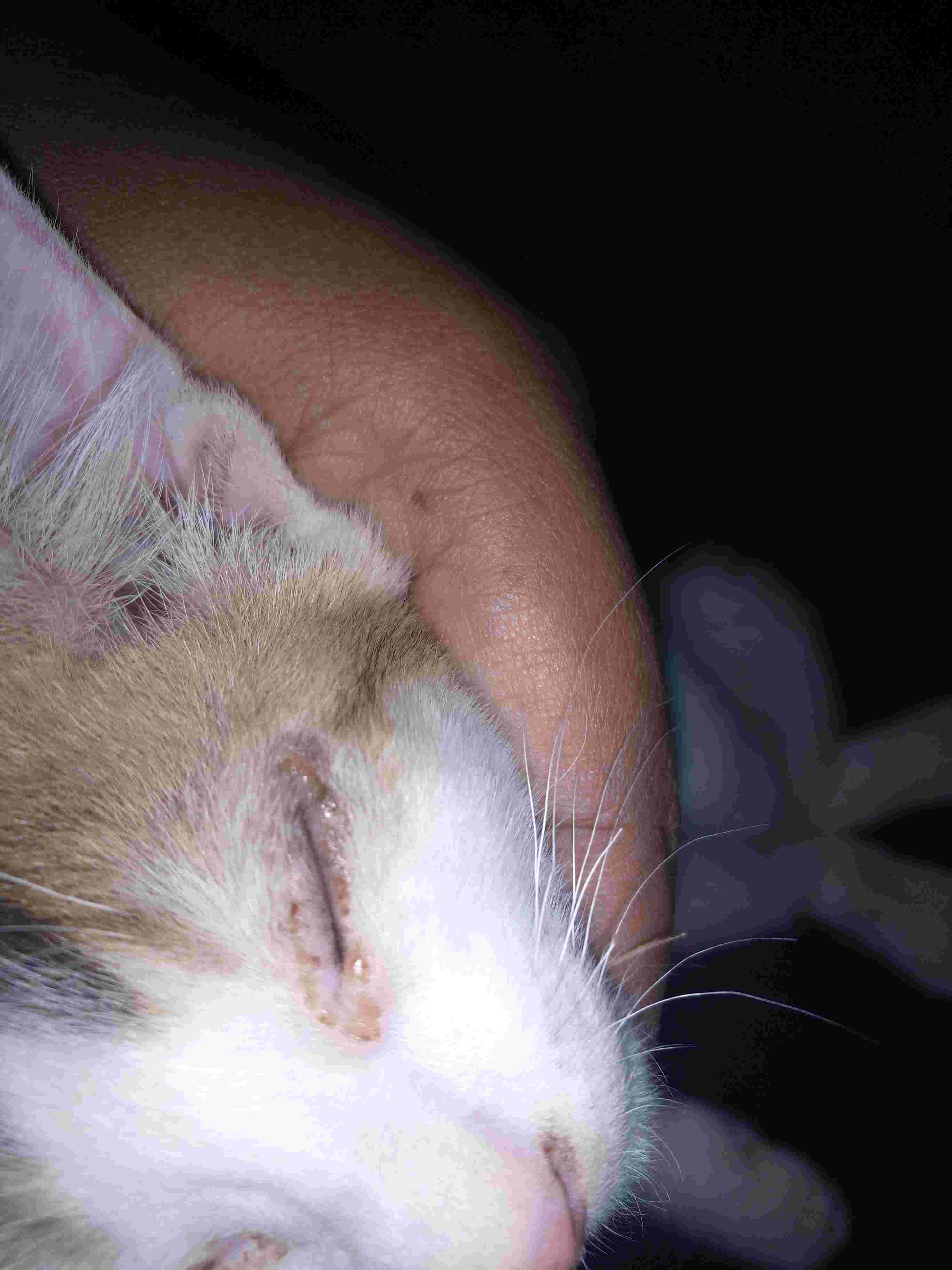 Question details sensitive content