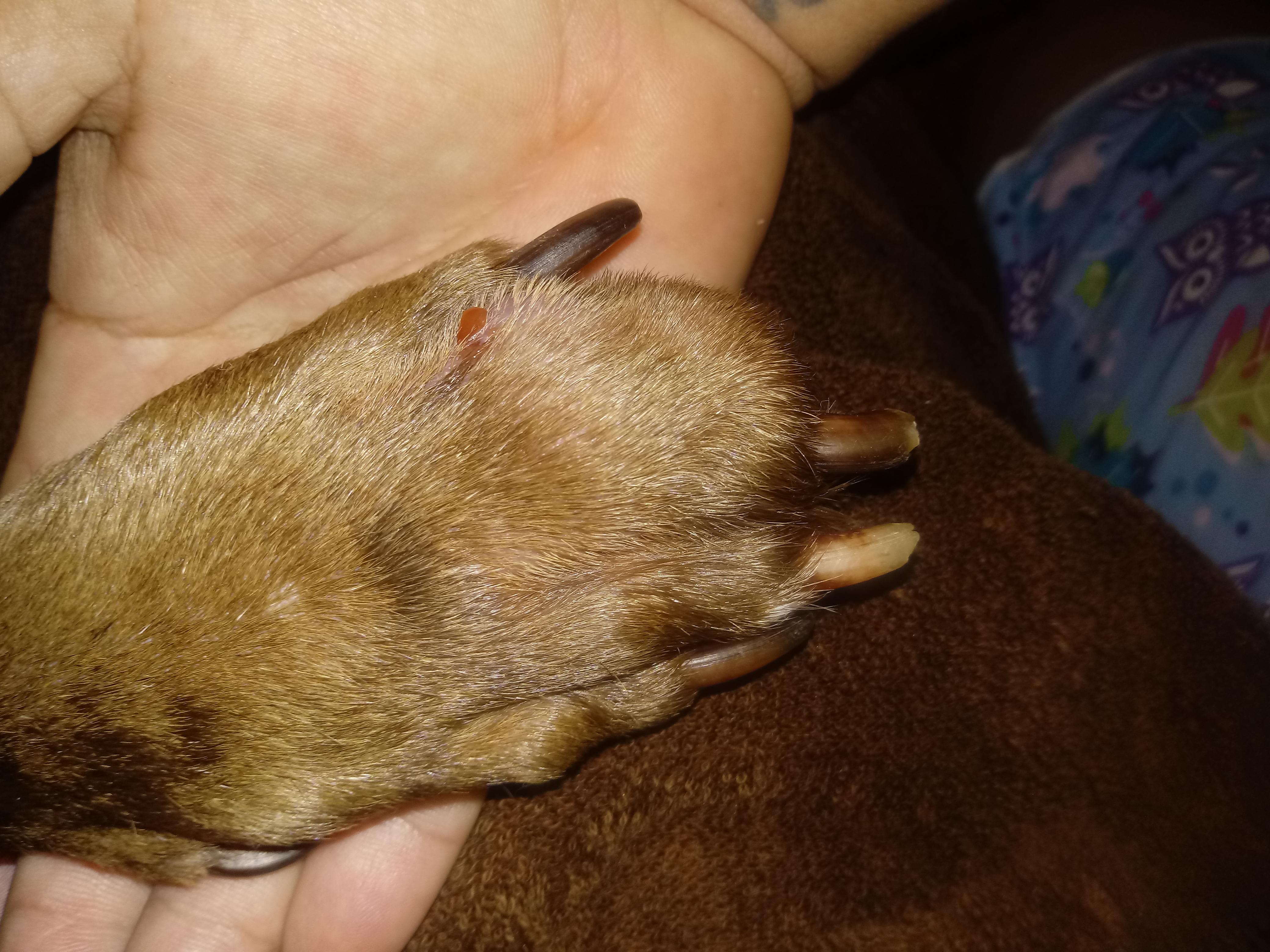 Question details sensitive content