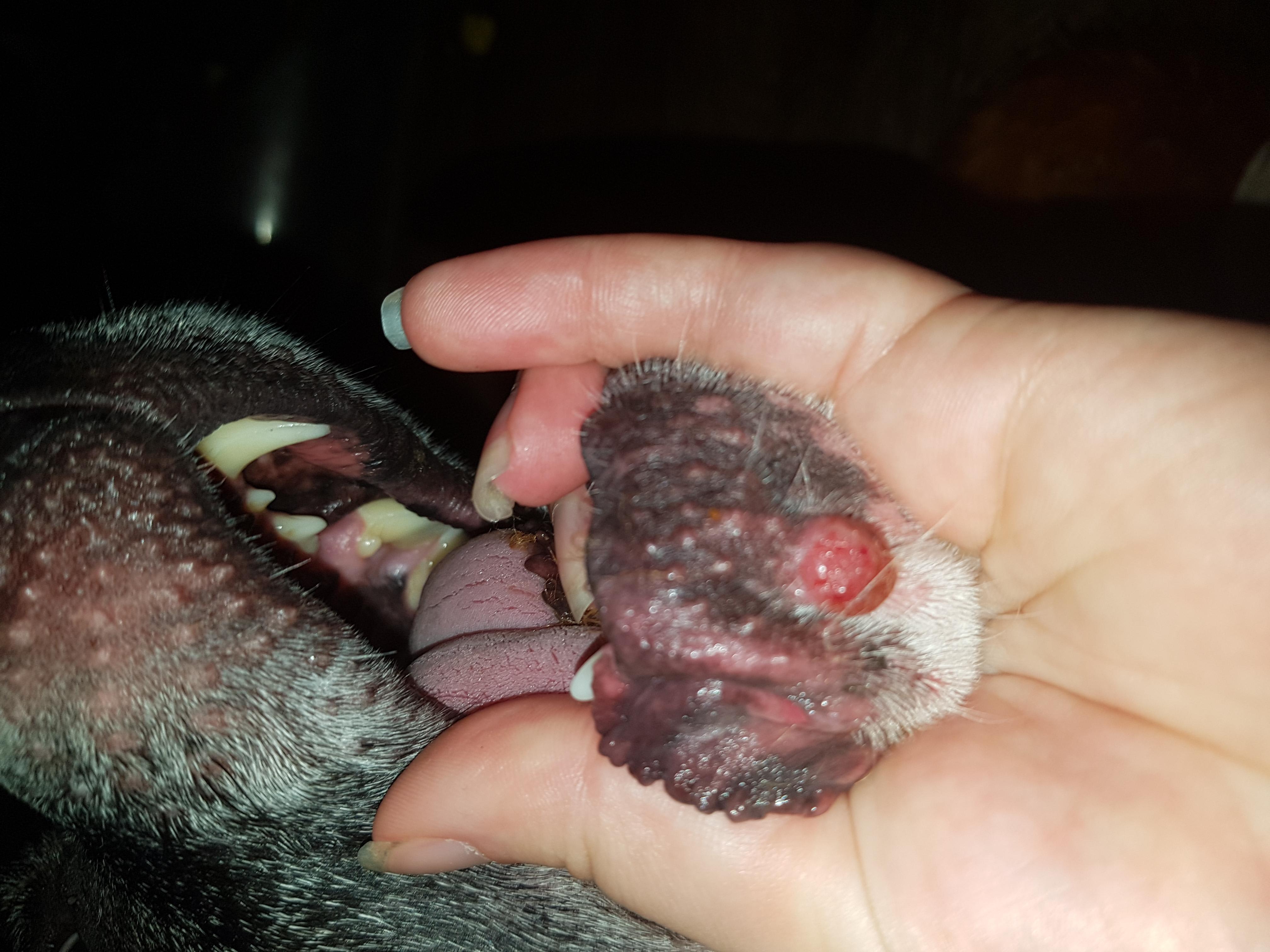 Question details sensitive content