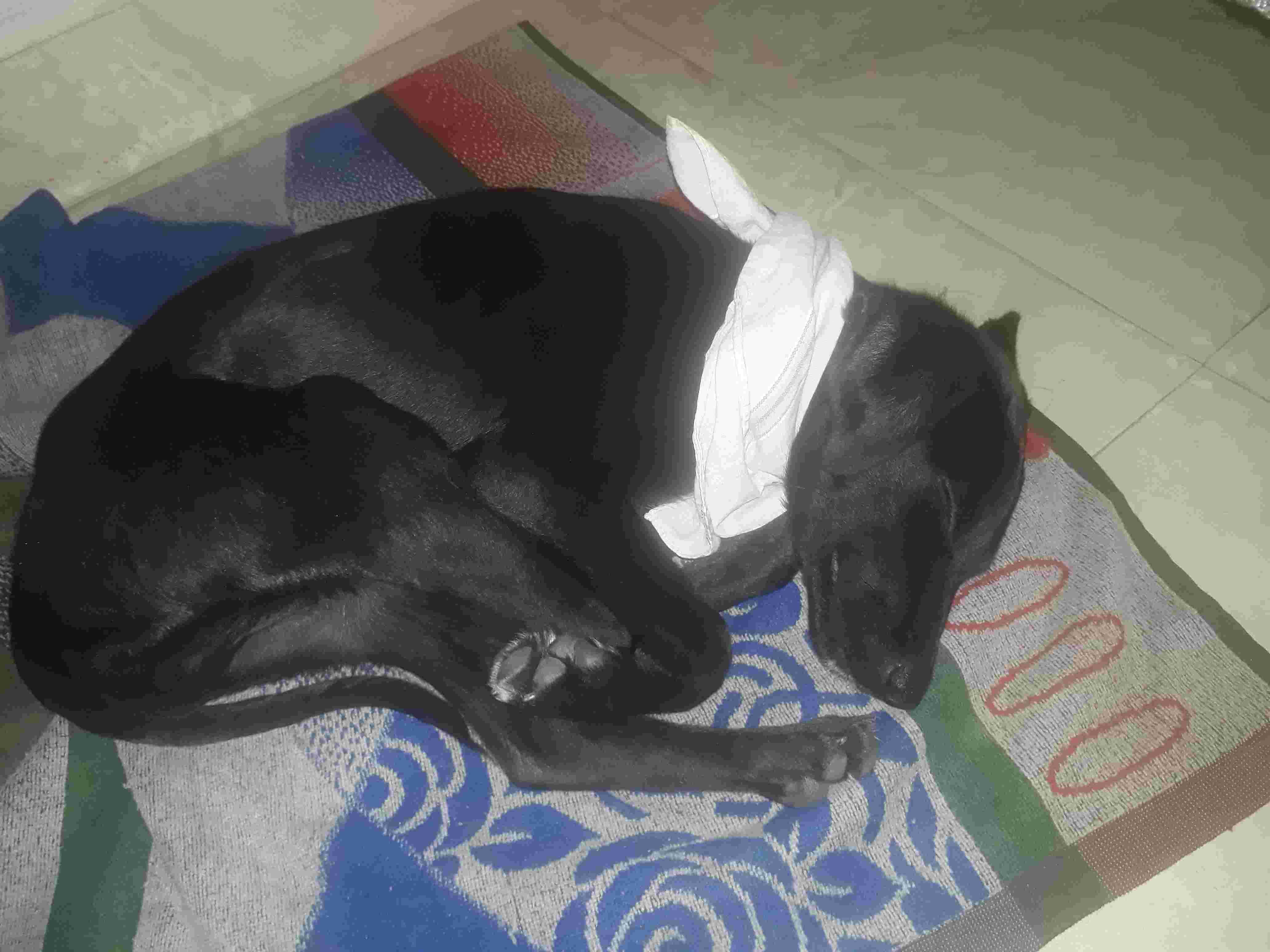 Question details sensitive content