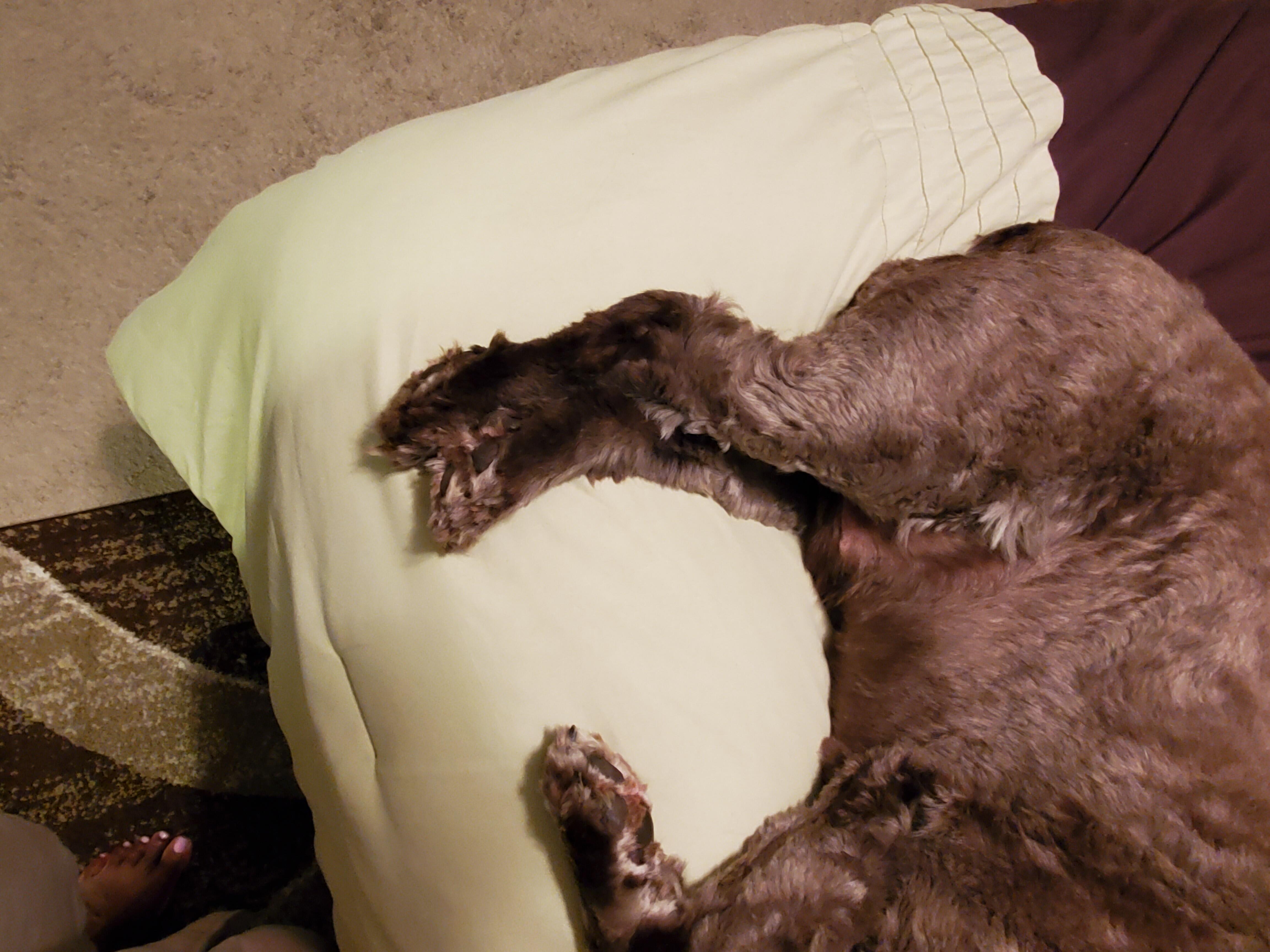 Question details sensitive content