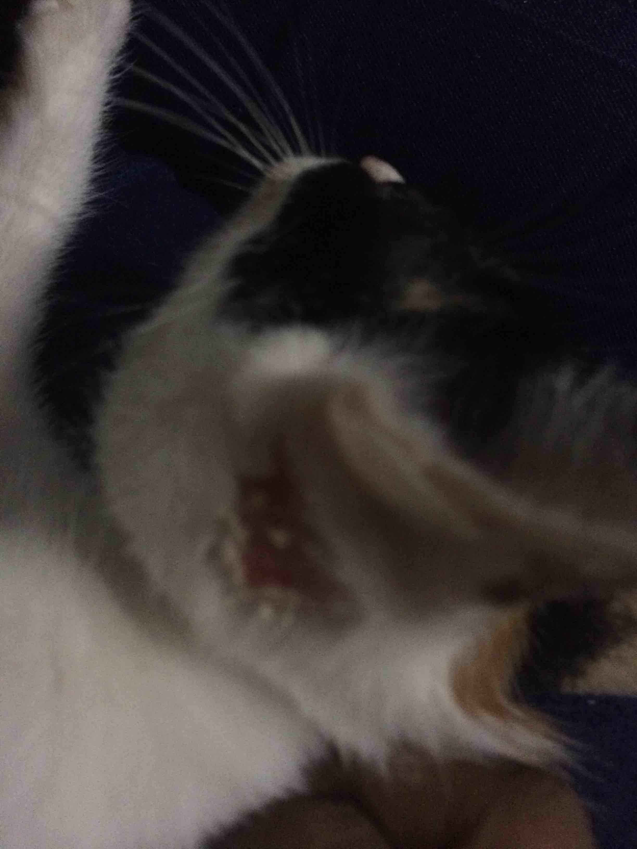 Question details sensitive content