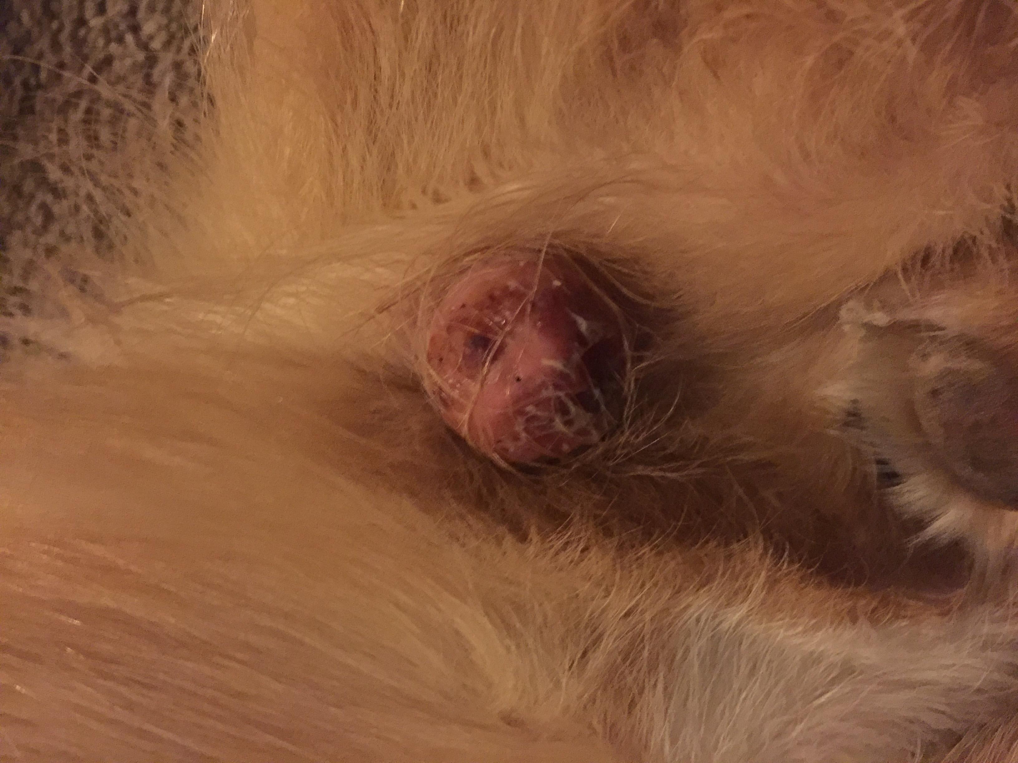 Question details sensitive content