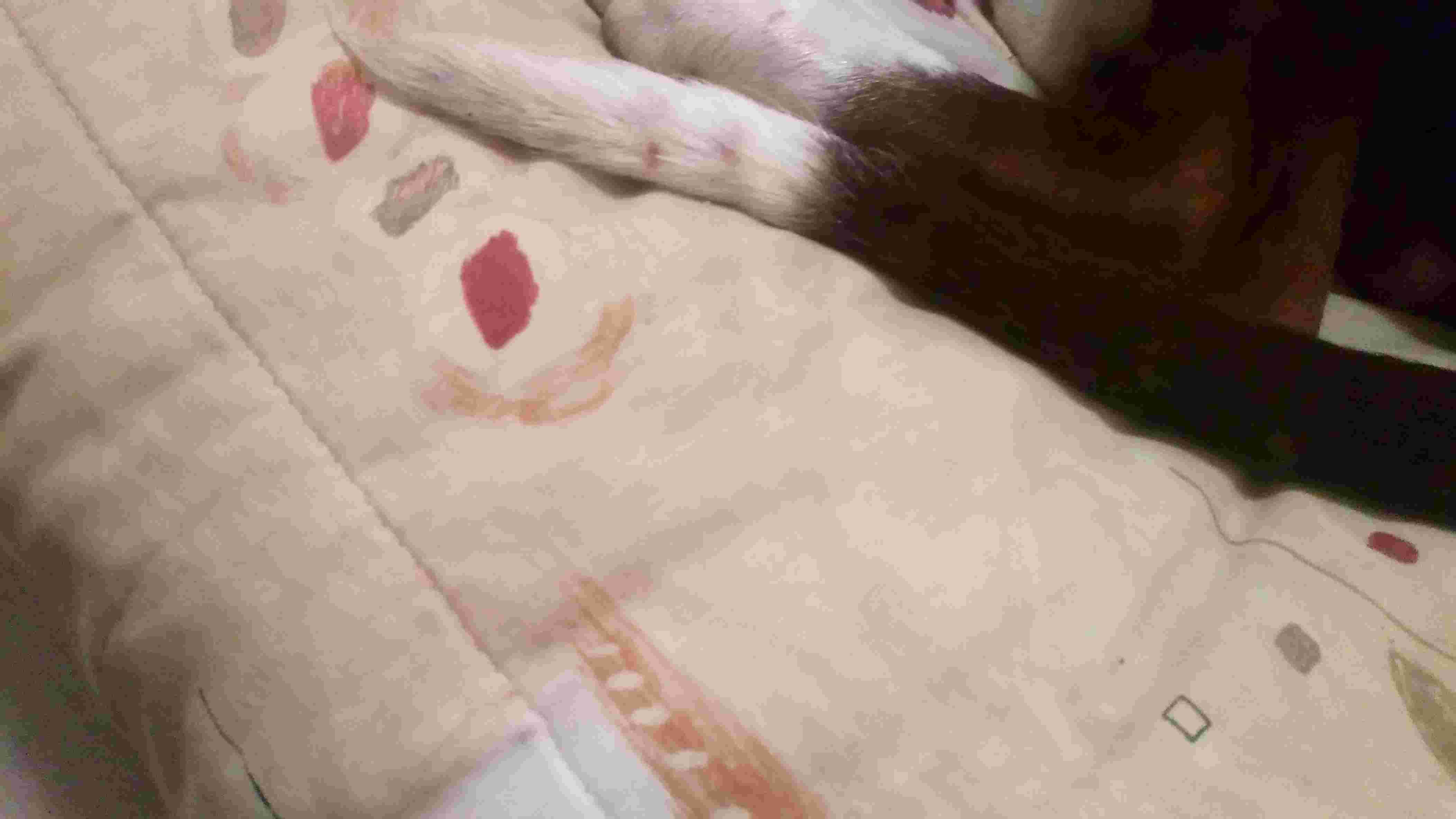 Question details sensitive content