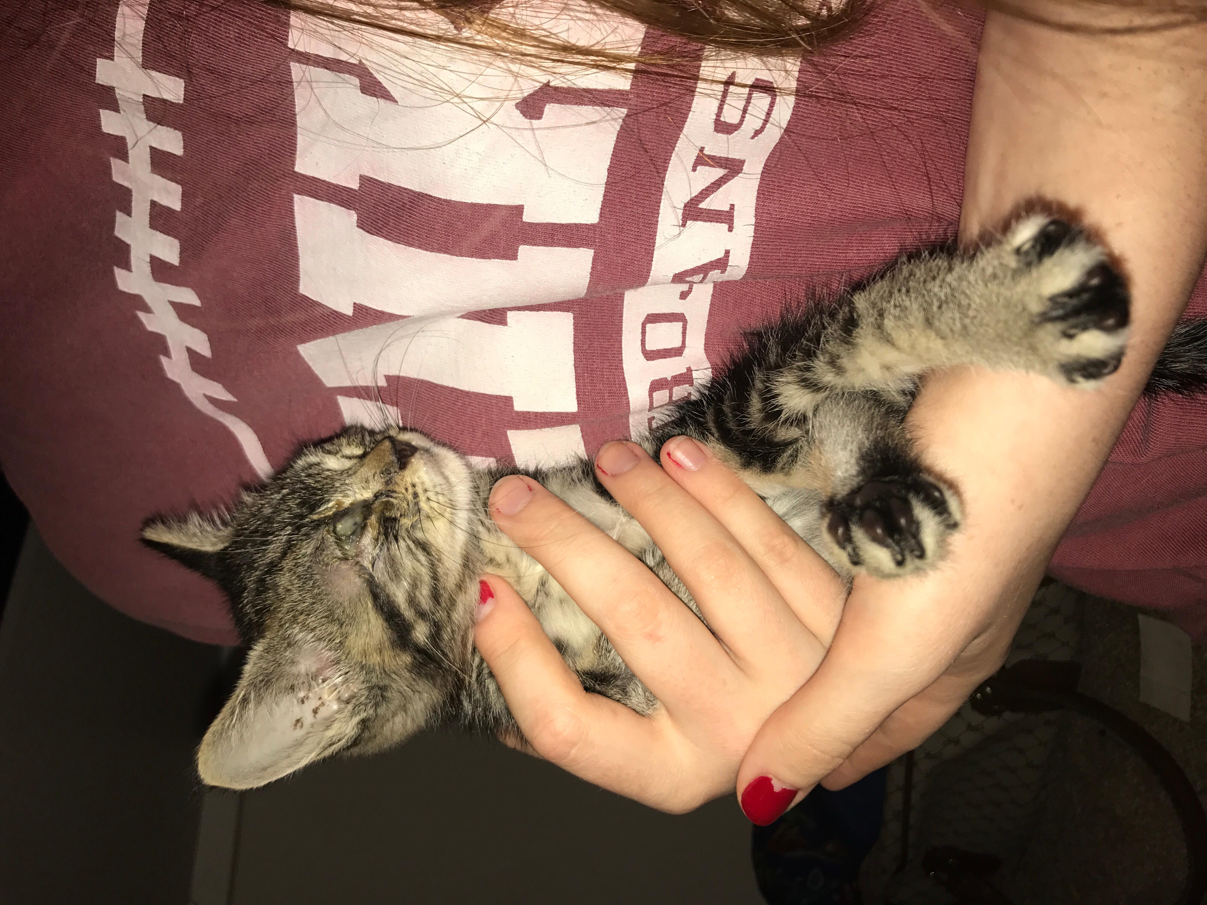 Question details sensitive content