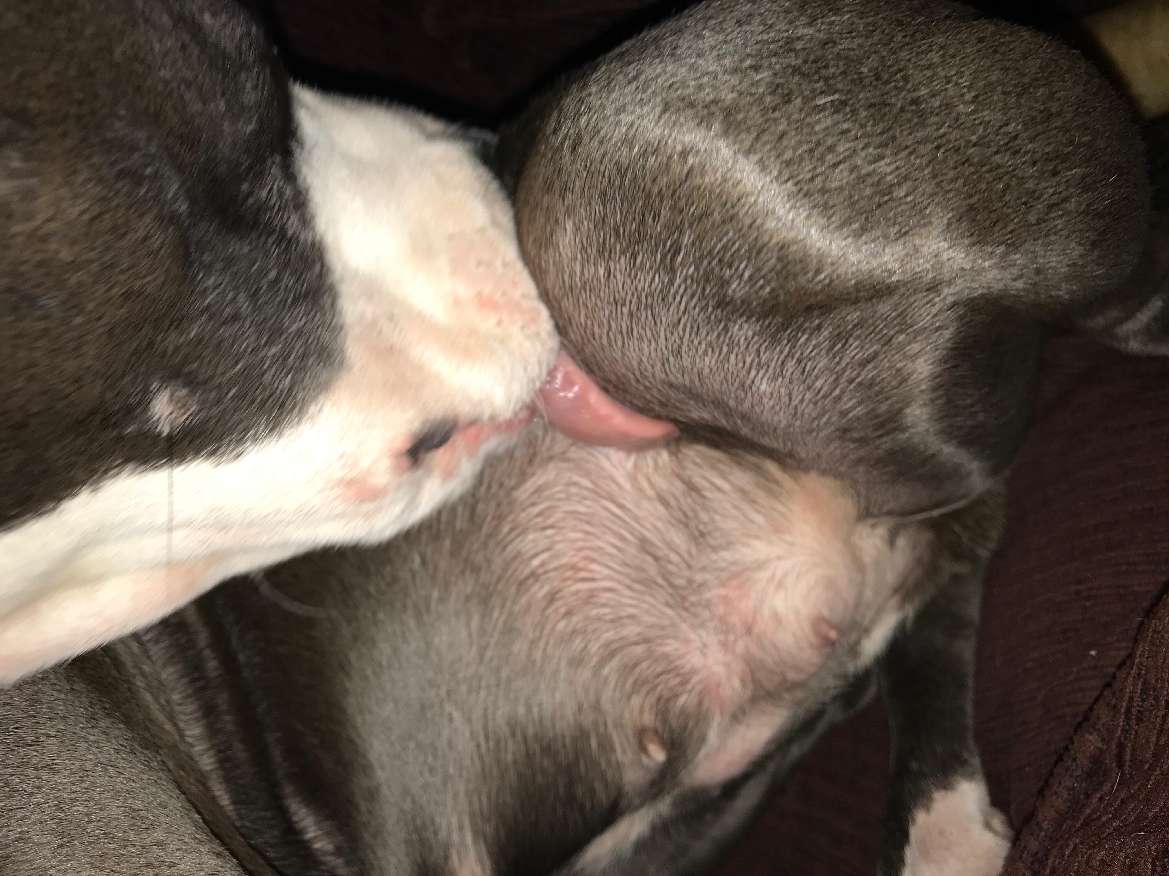 Question details sensitive content