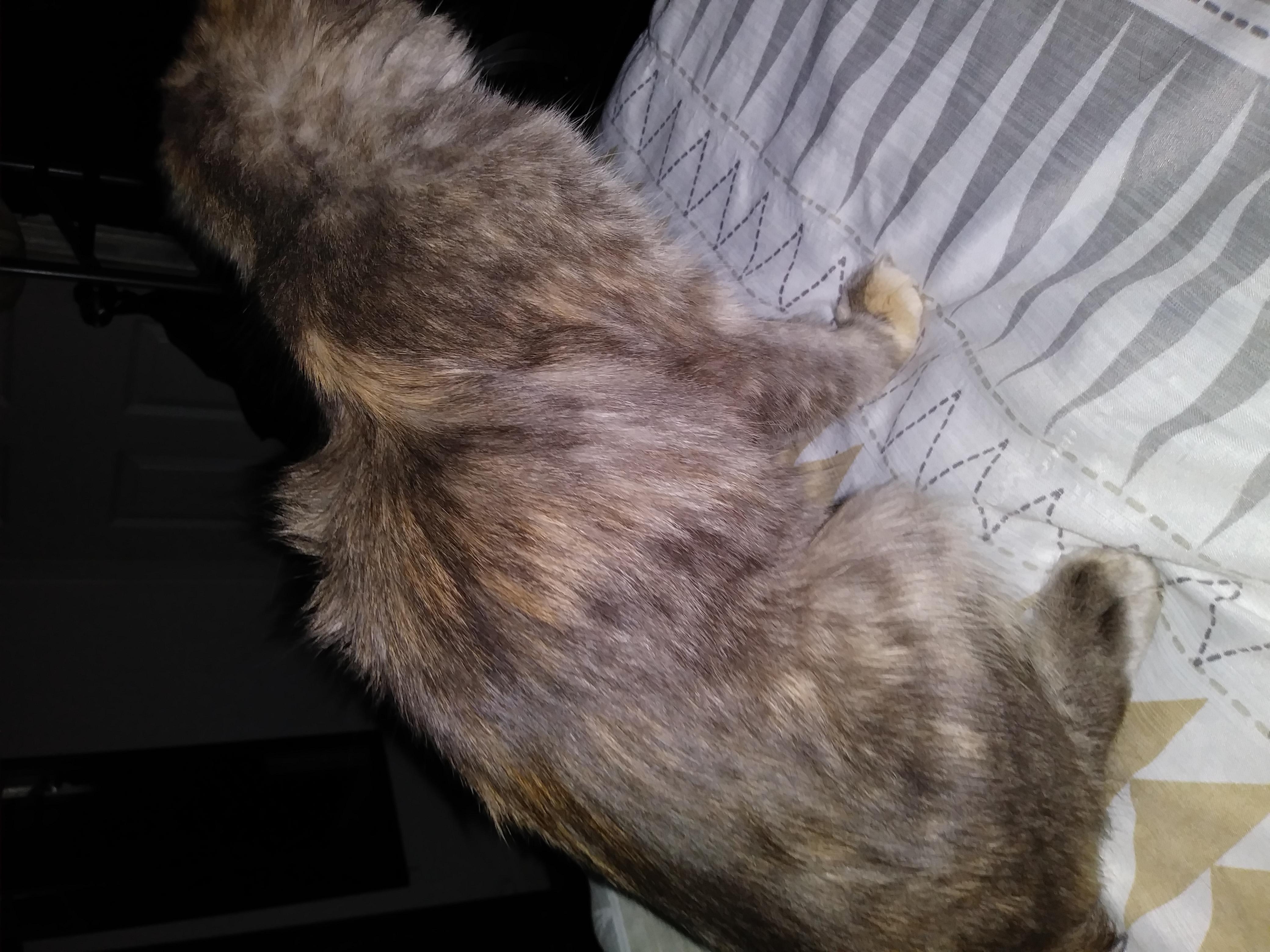 Question details sensitive content