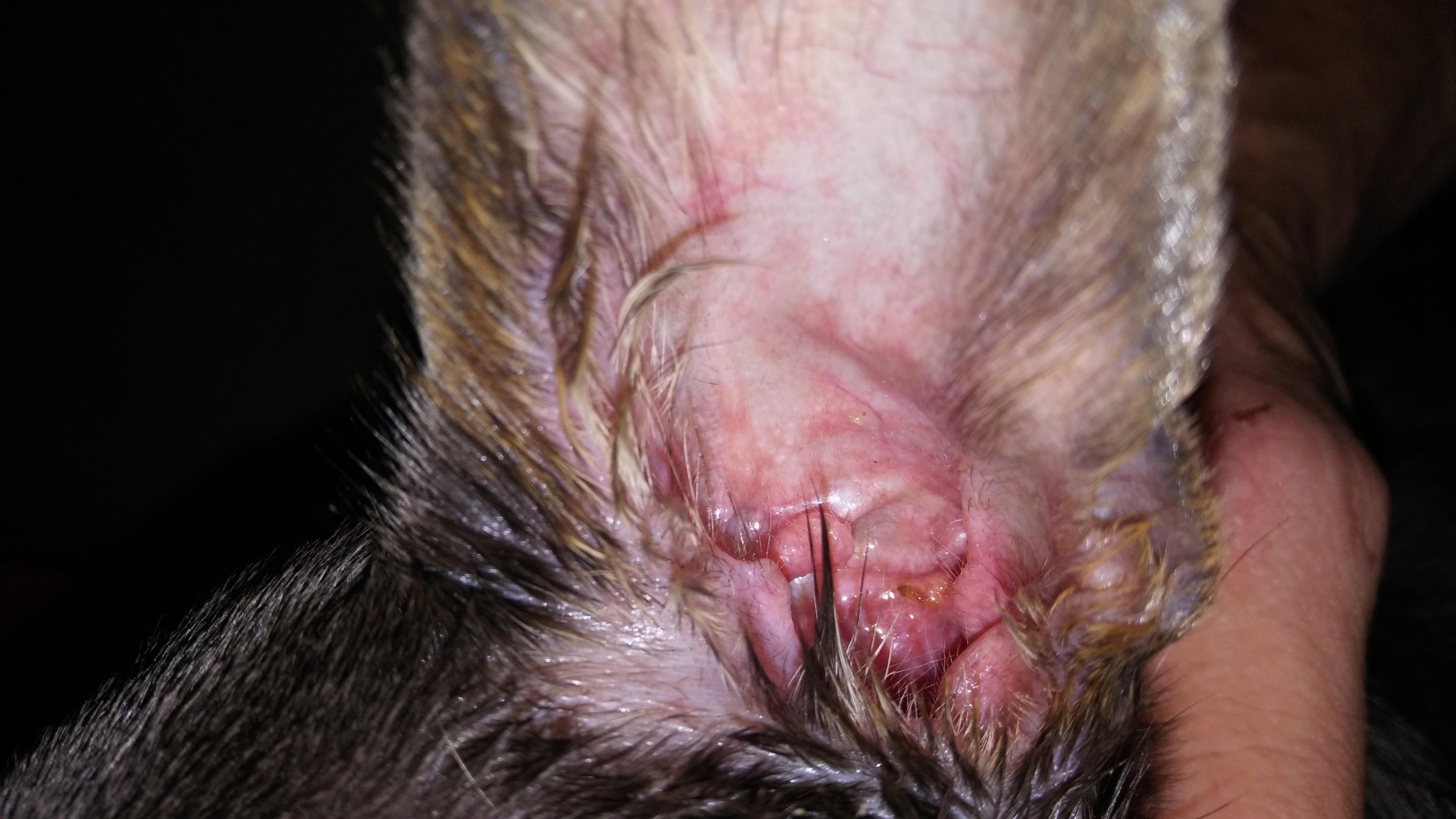 Question details sensitive content