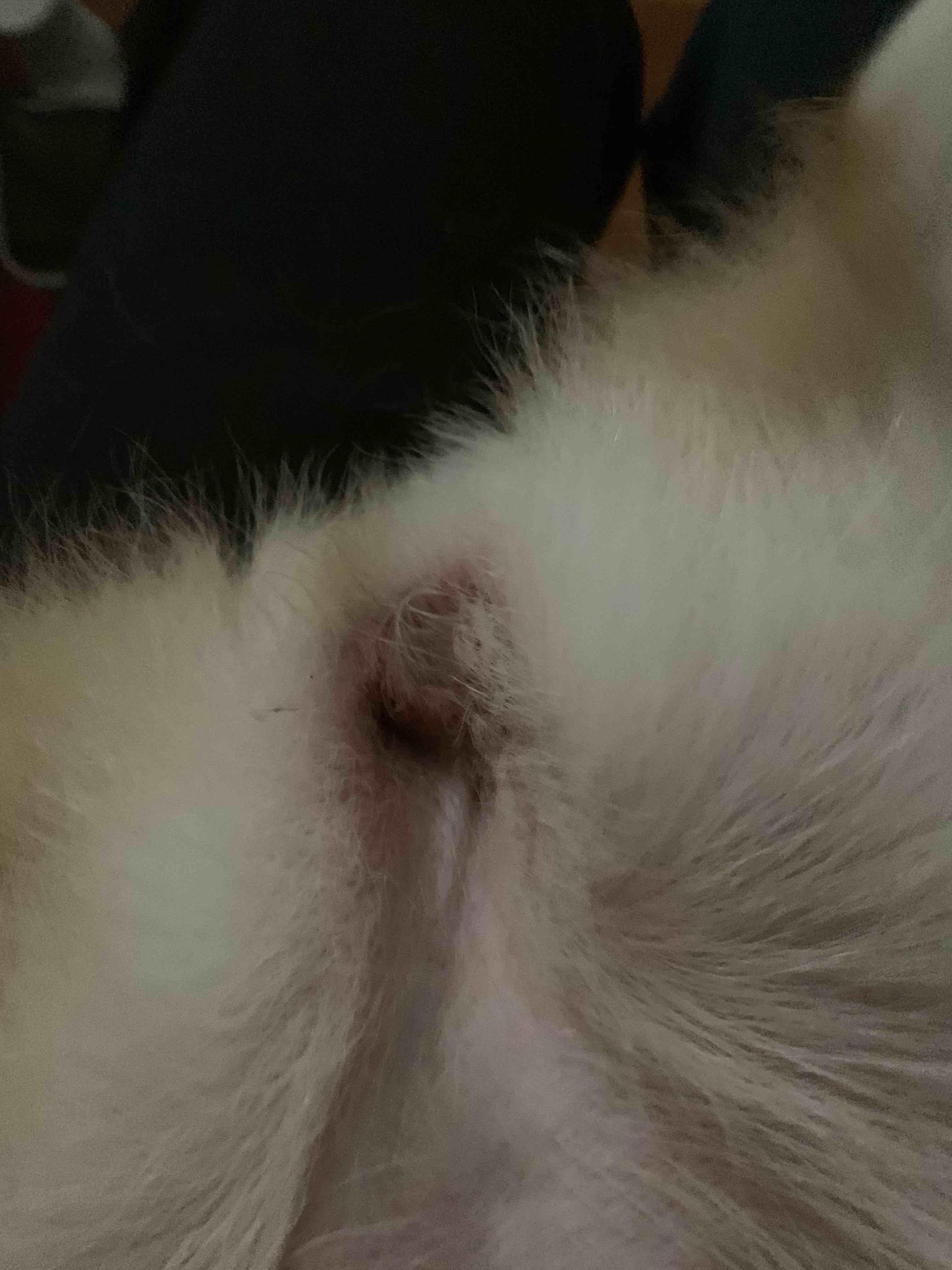 Question details sensitive content