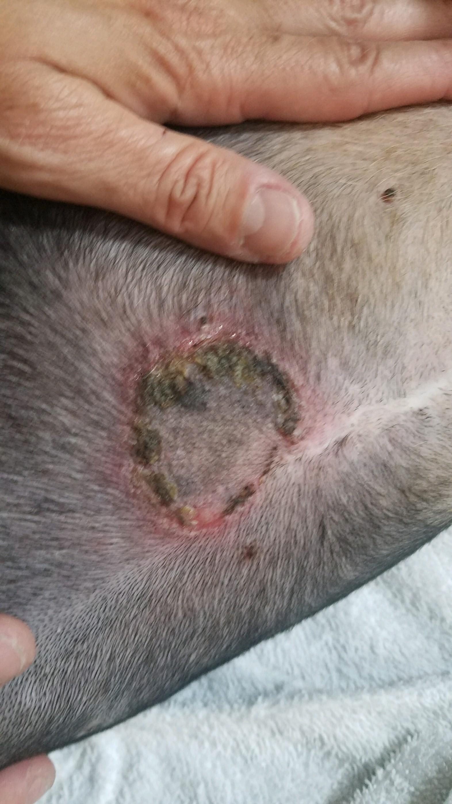 Question details sensitive content