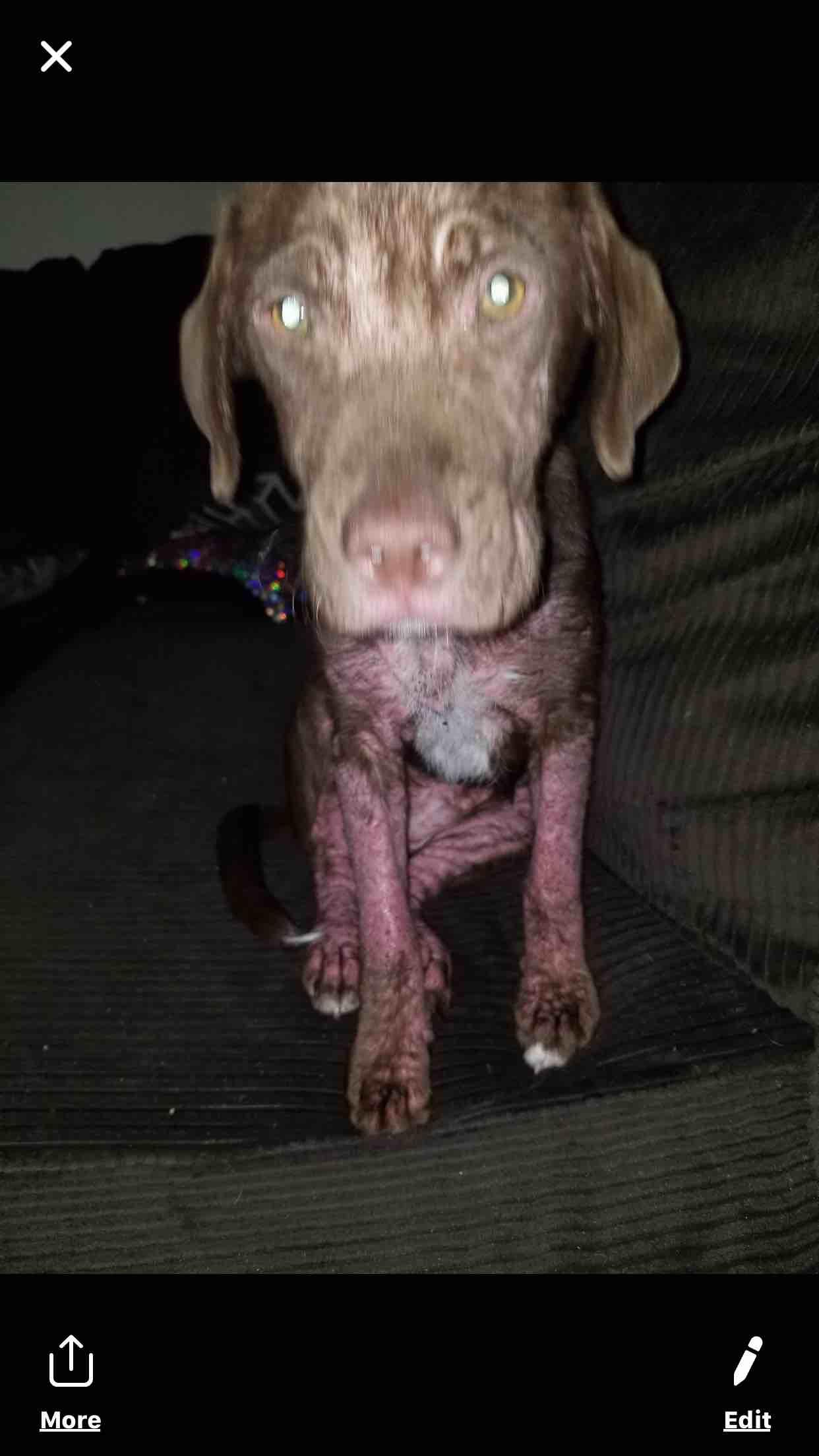 Question details sensitive content