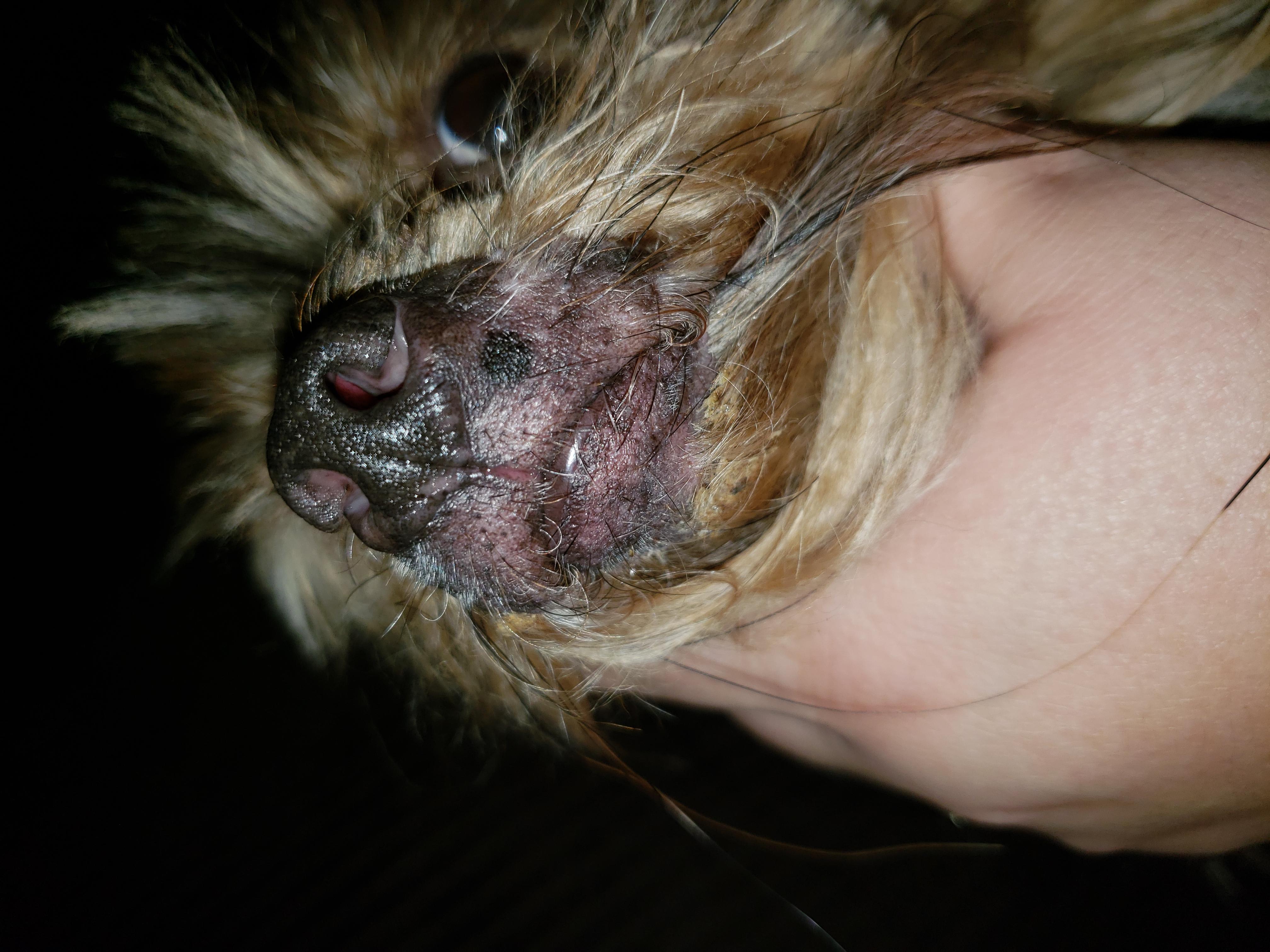 Question details sensitive content