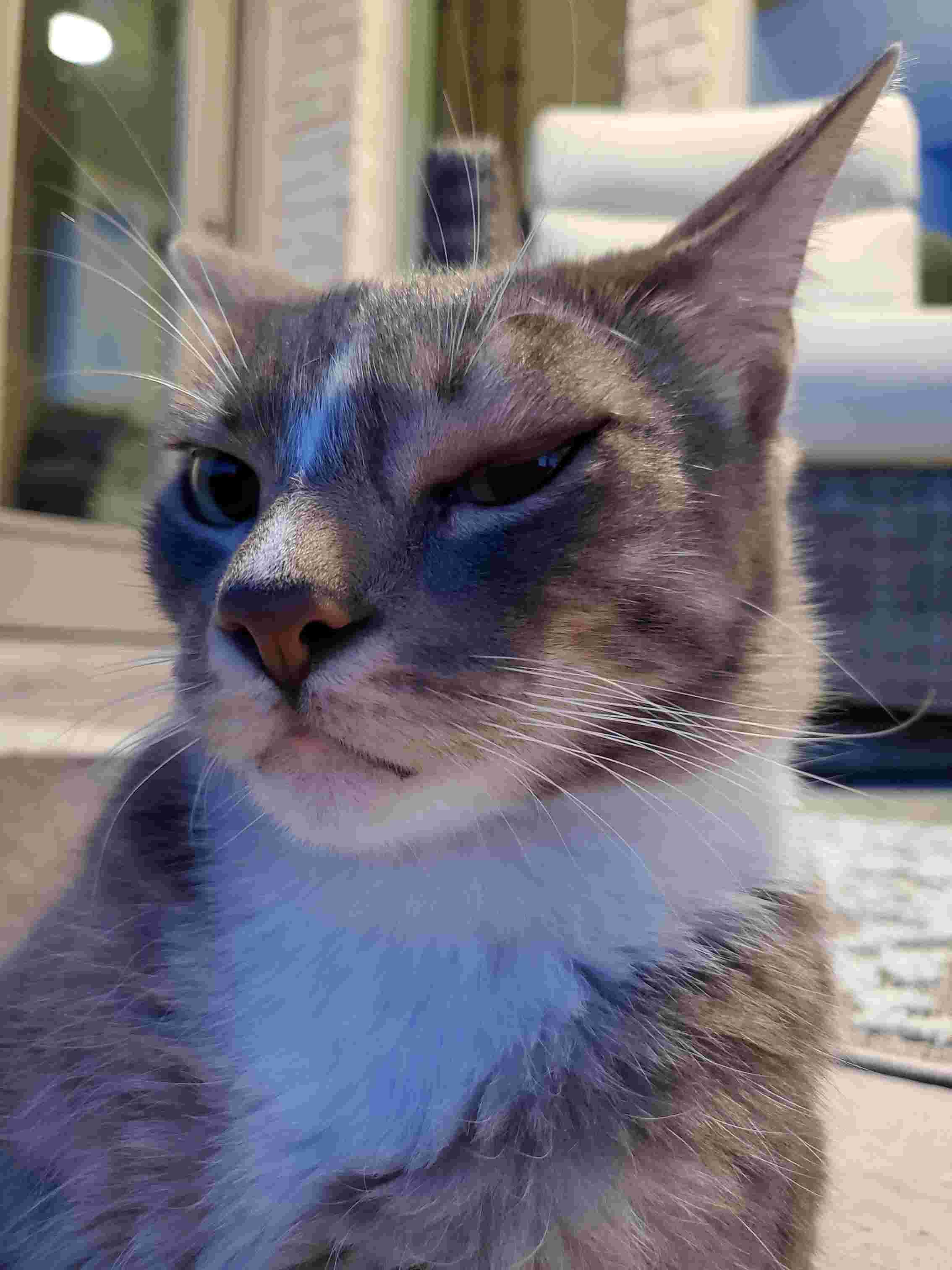 Question details sensitive content