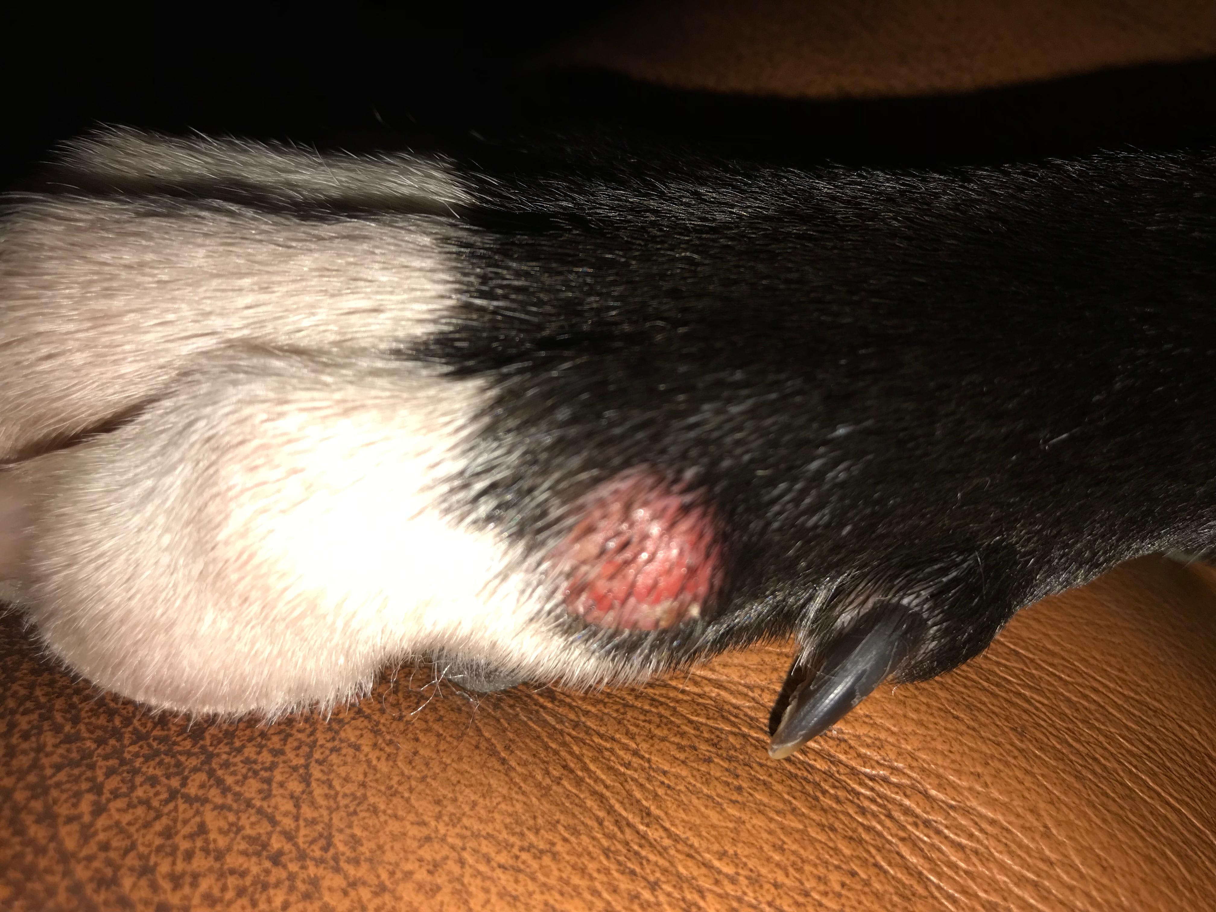 Question details sensitive content