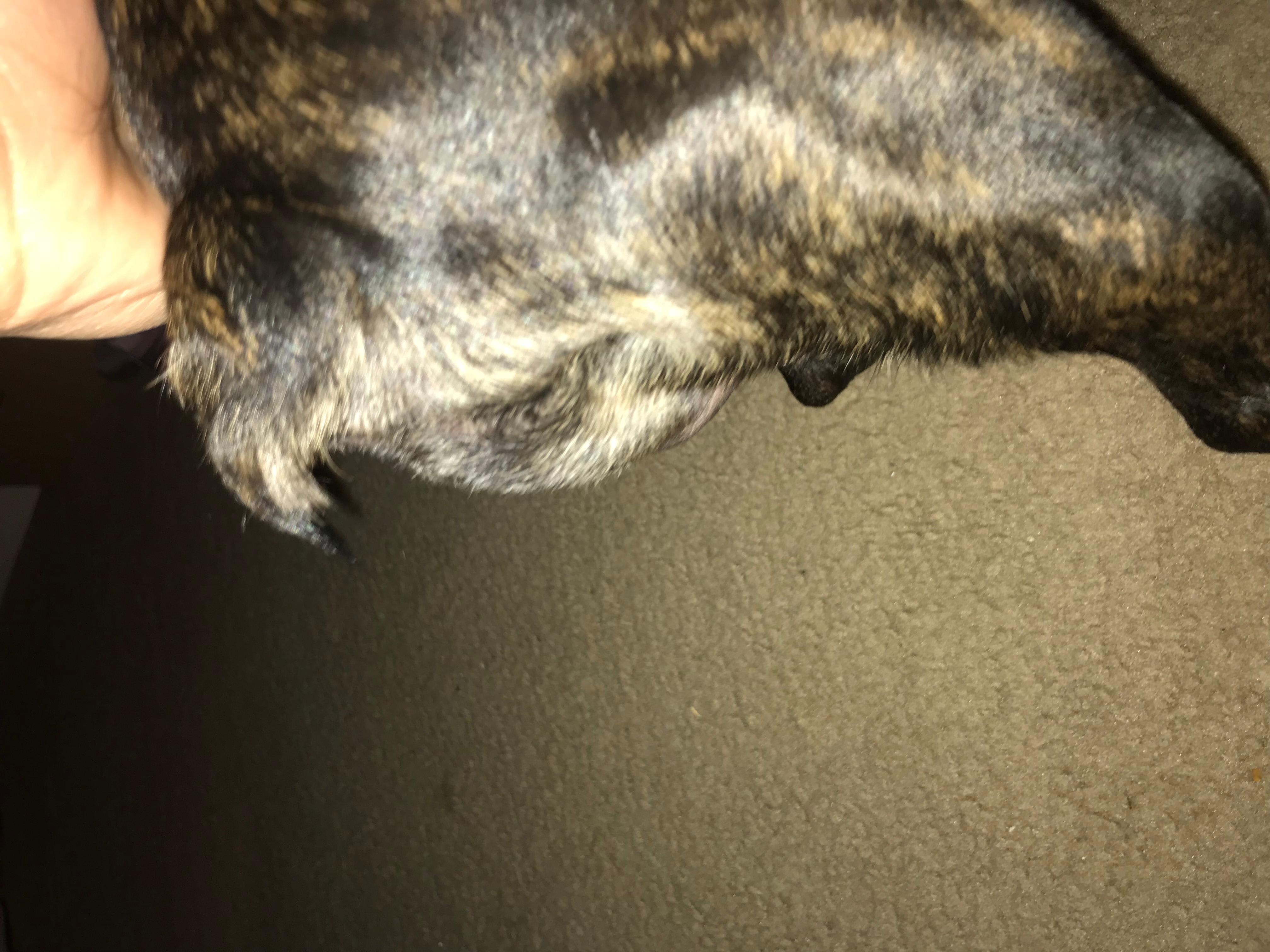 Question details sensitive content