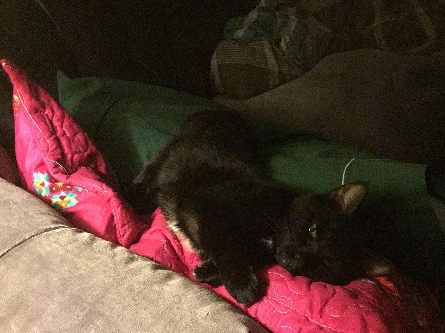 Question details sensitive content