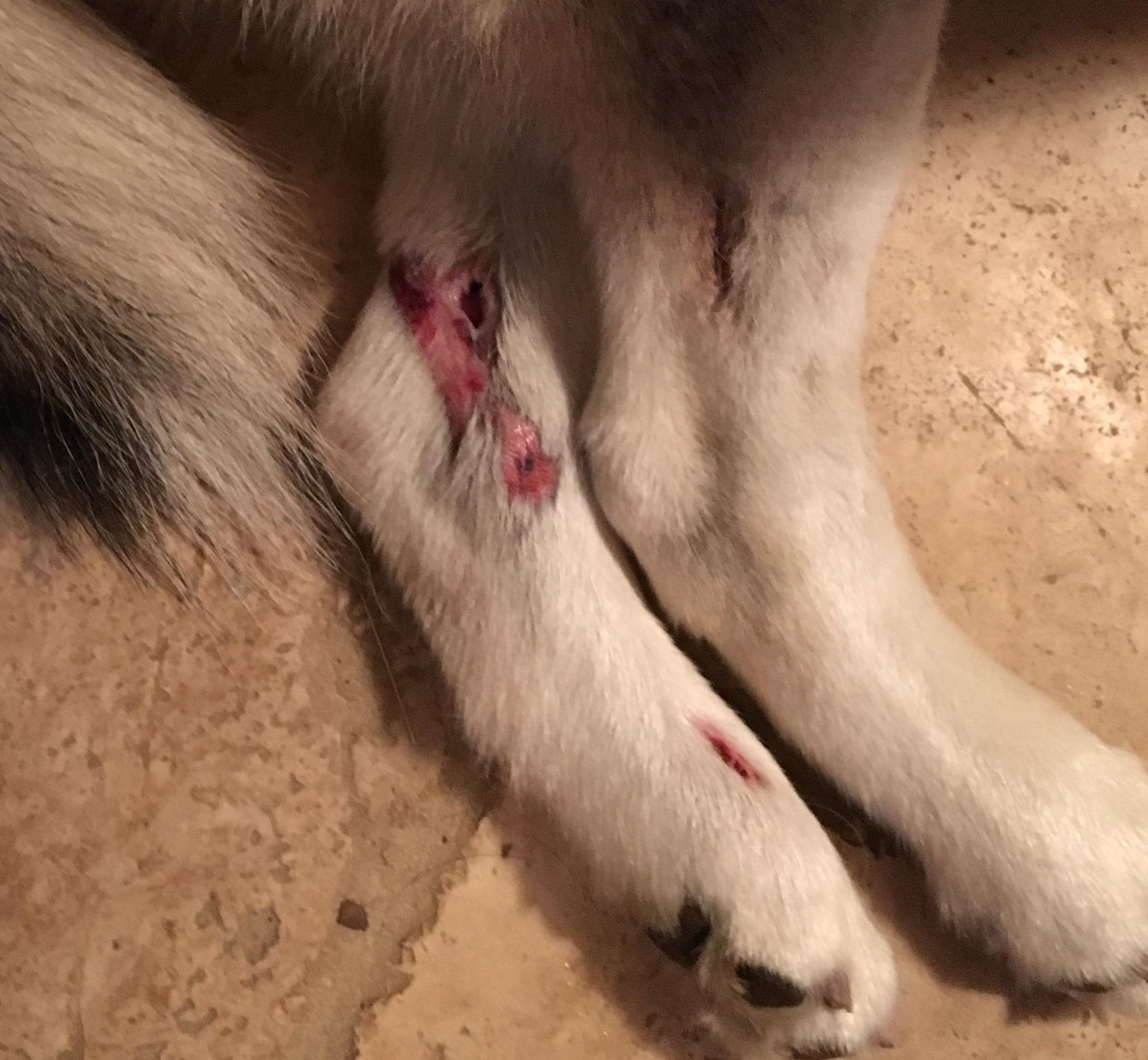 Question details sensitive content