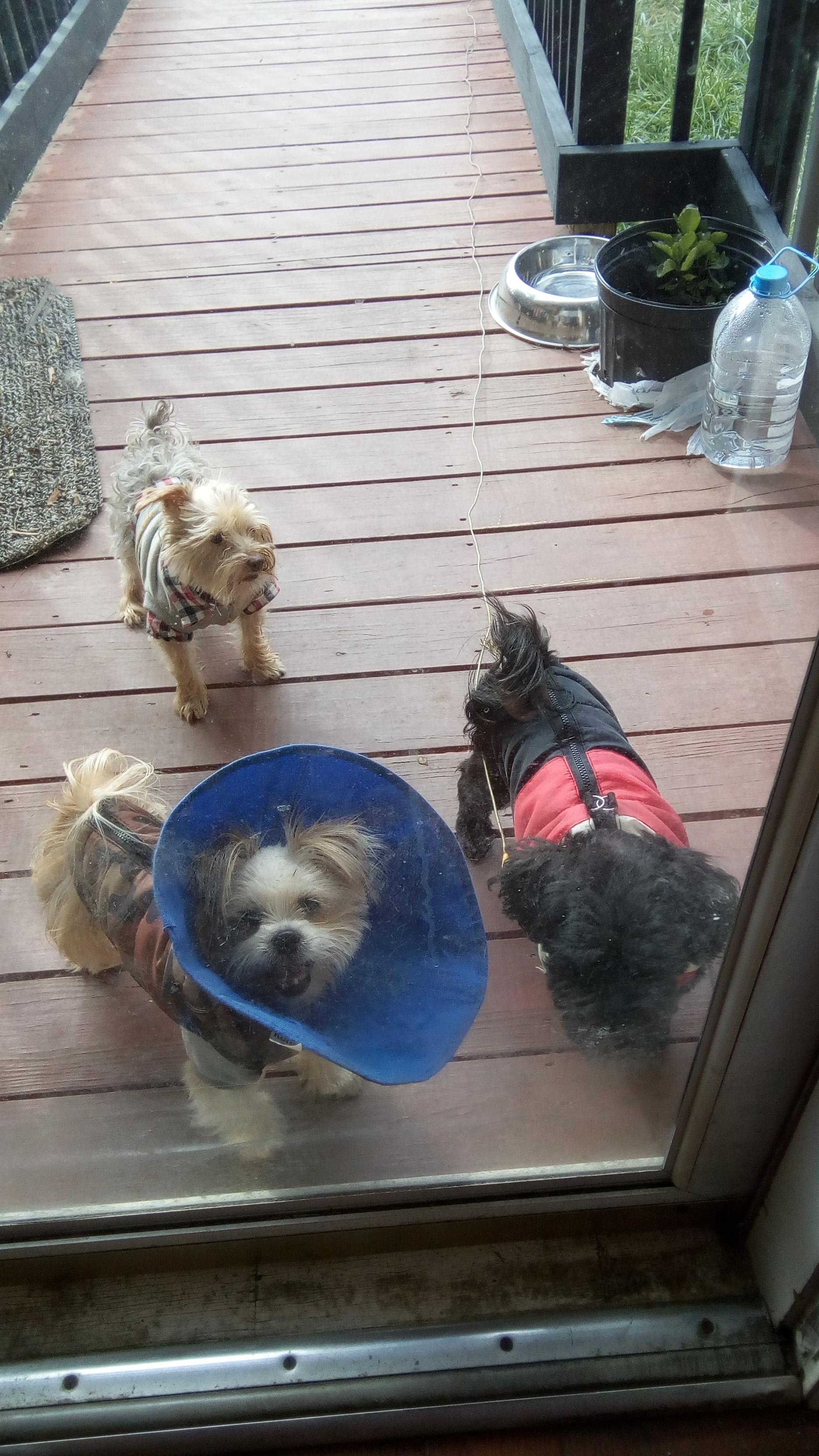 Question details sensitive content