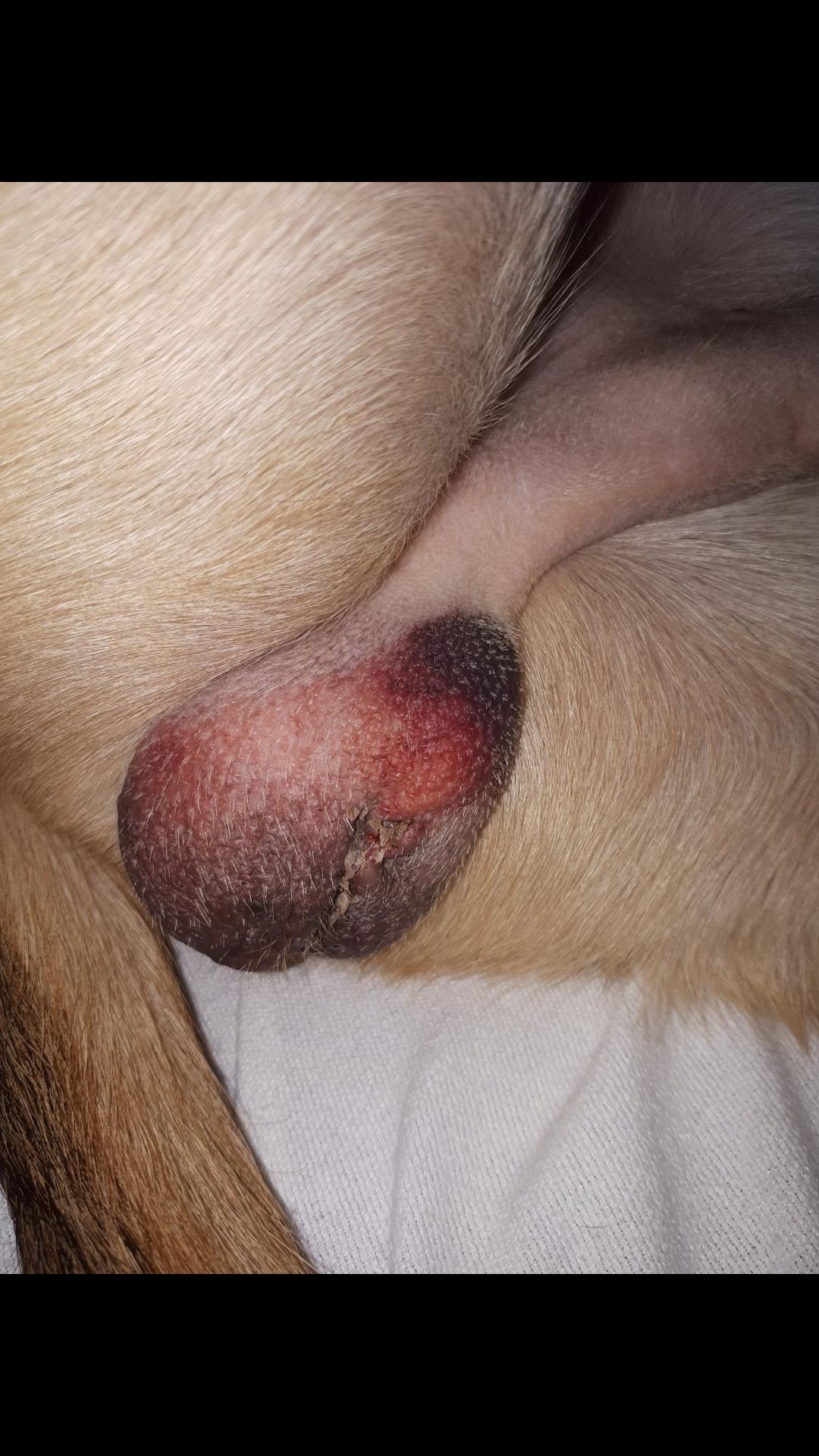 Question details sensitive content