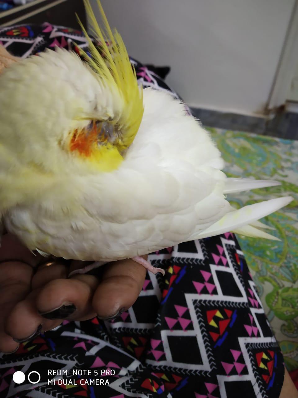 Question details sensitive content