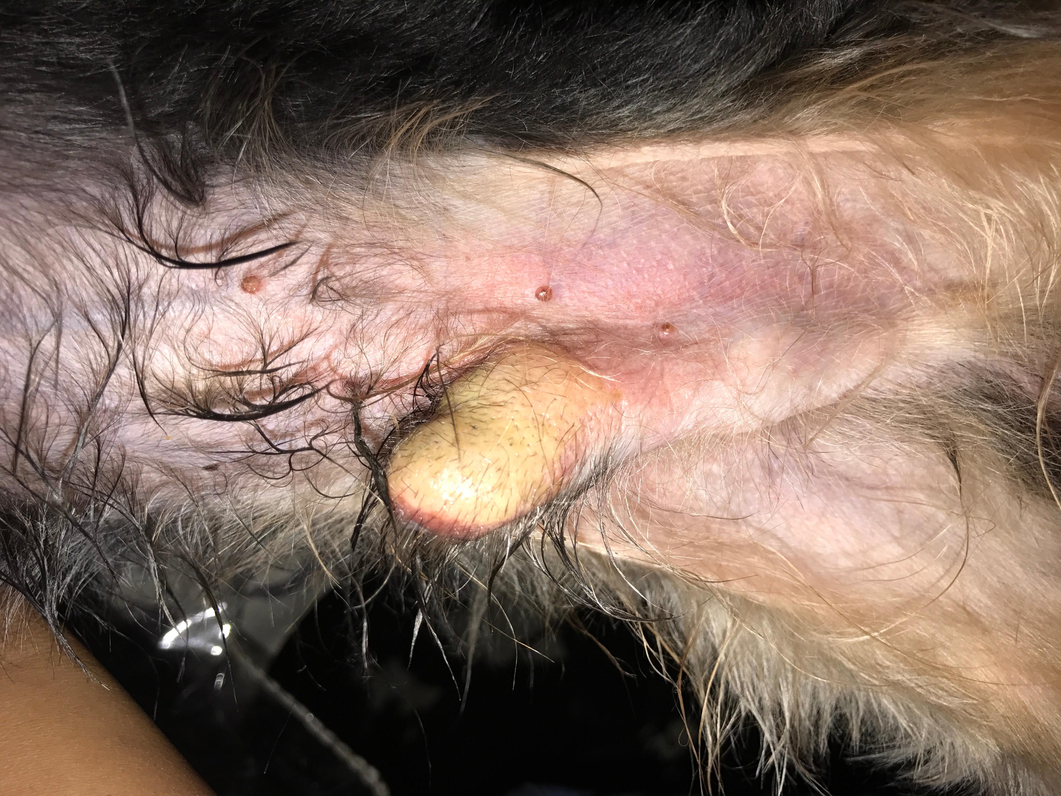 Question details sensitive content