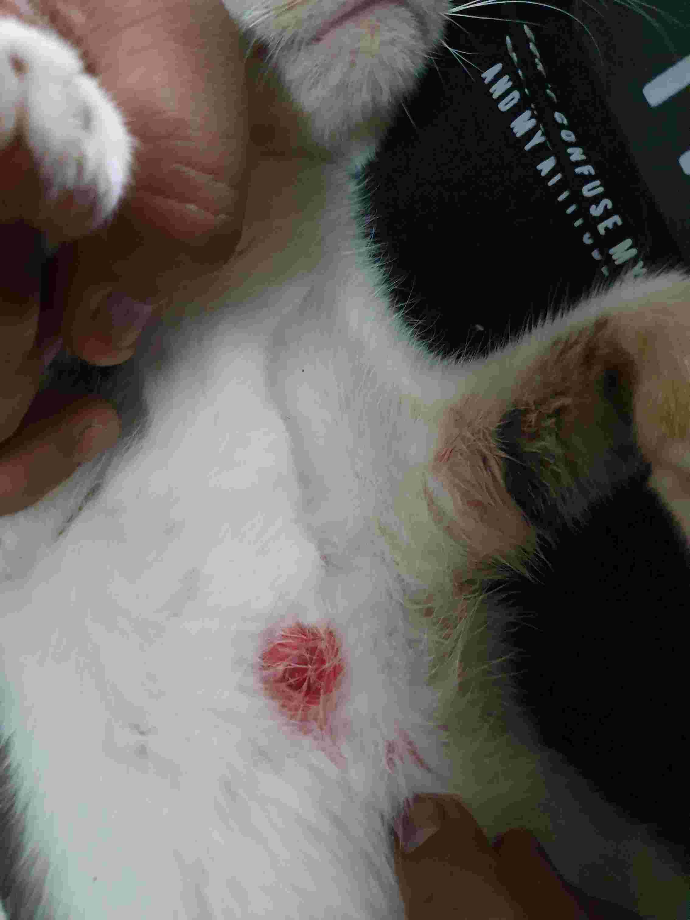 Question details sensitive content