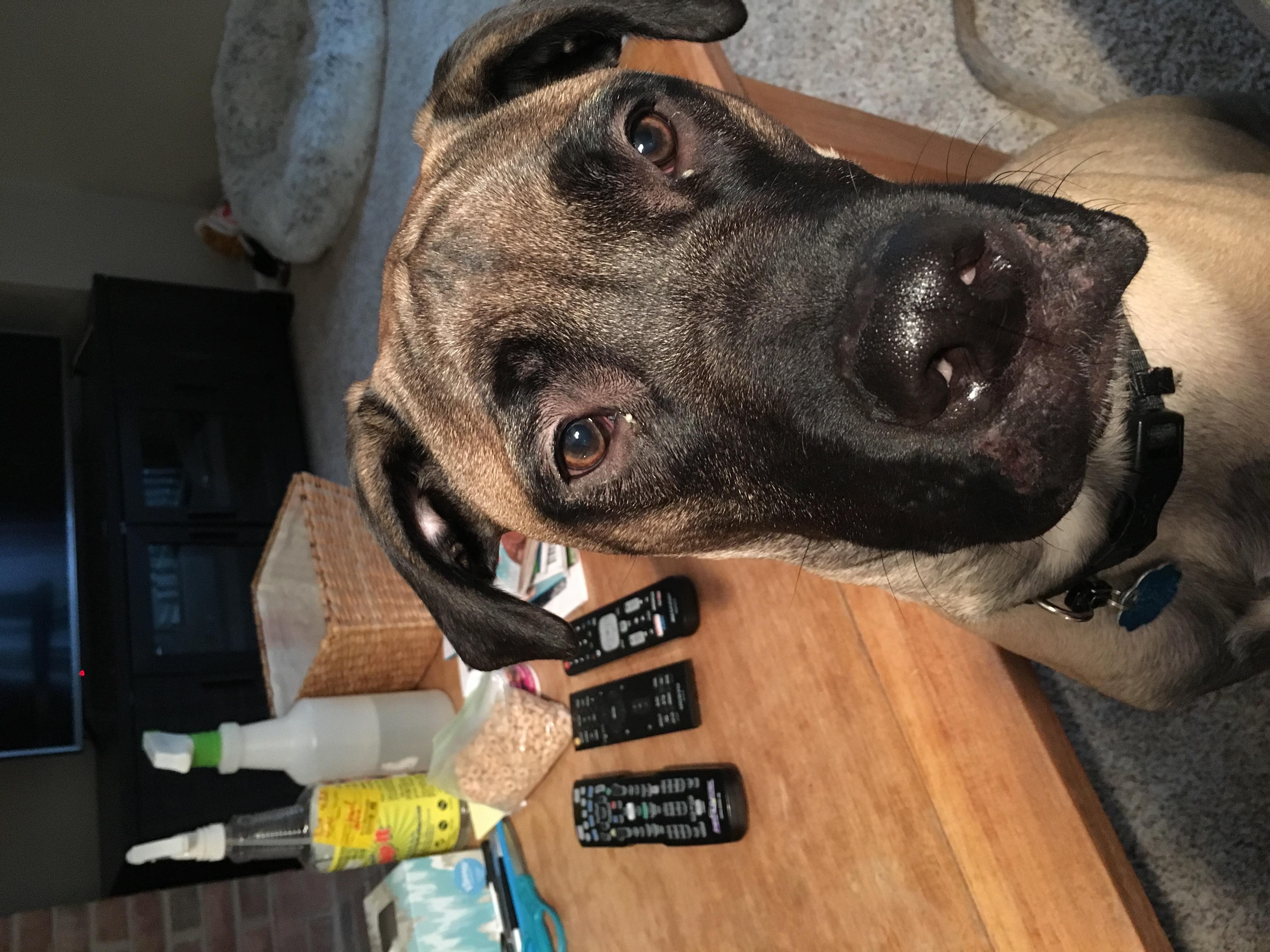 Question details sensitive content