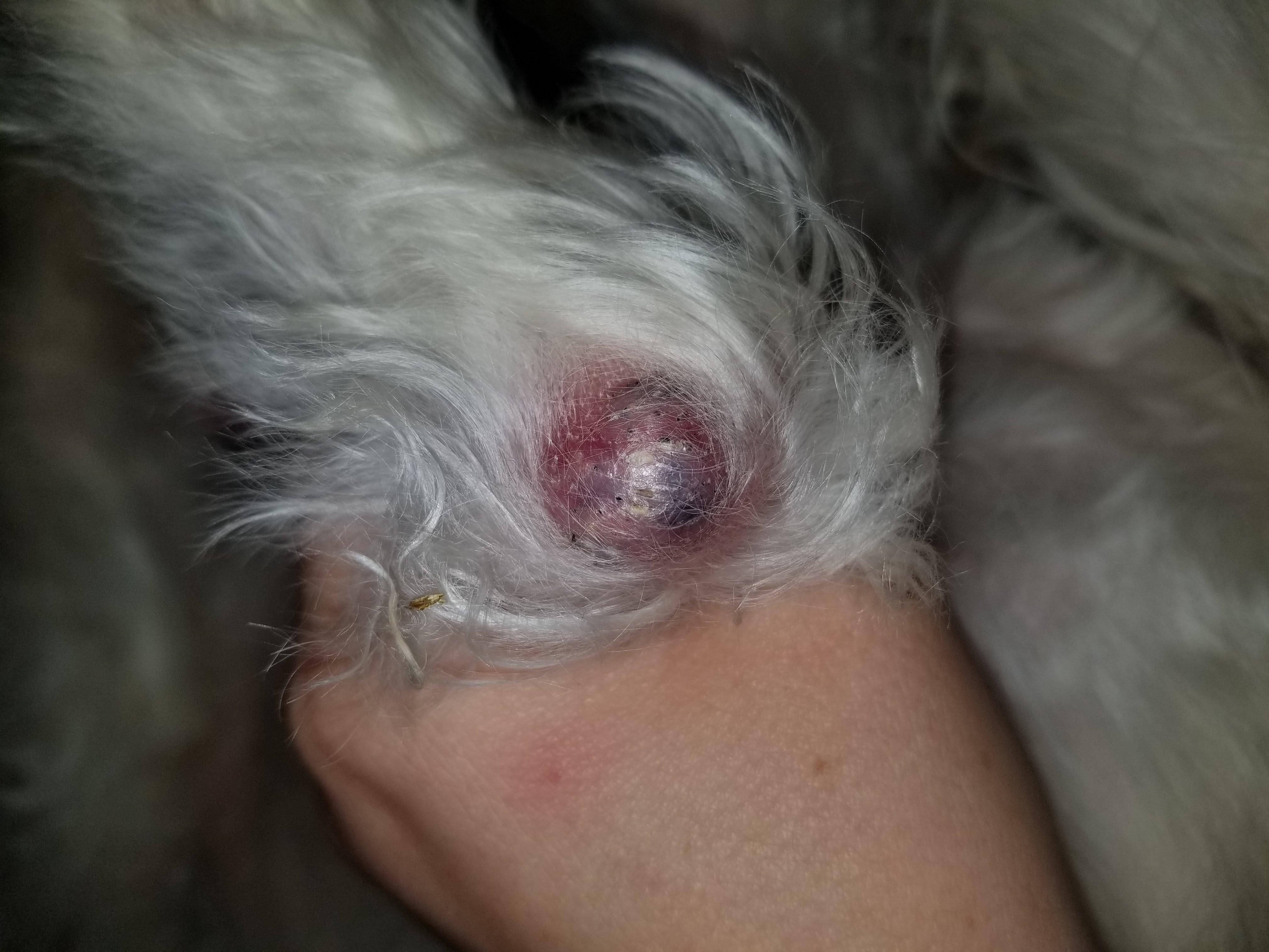 Question details sensitive content