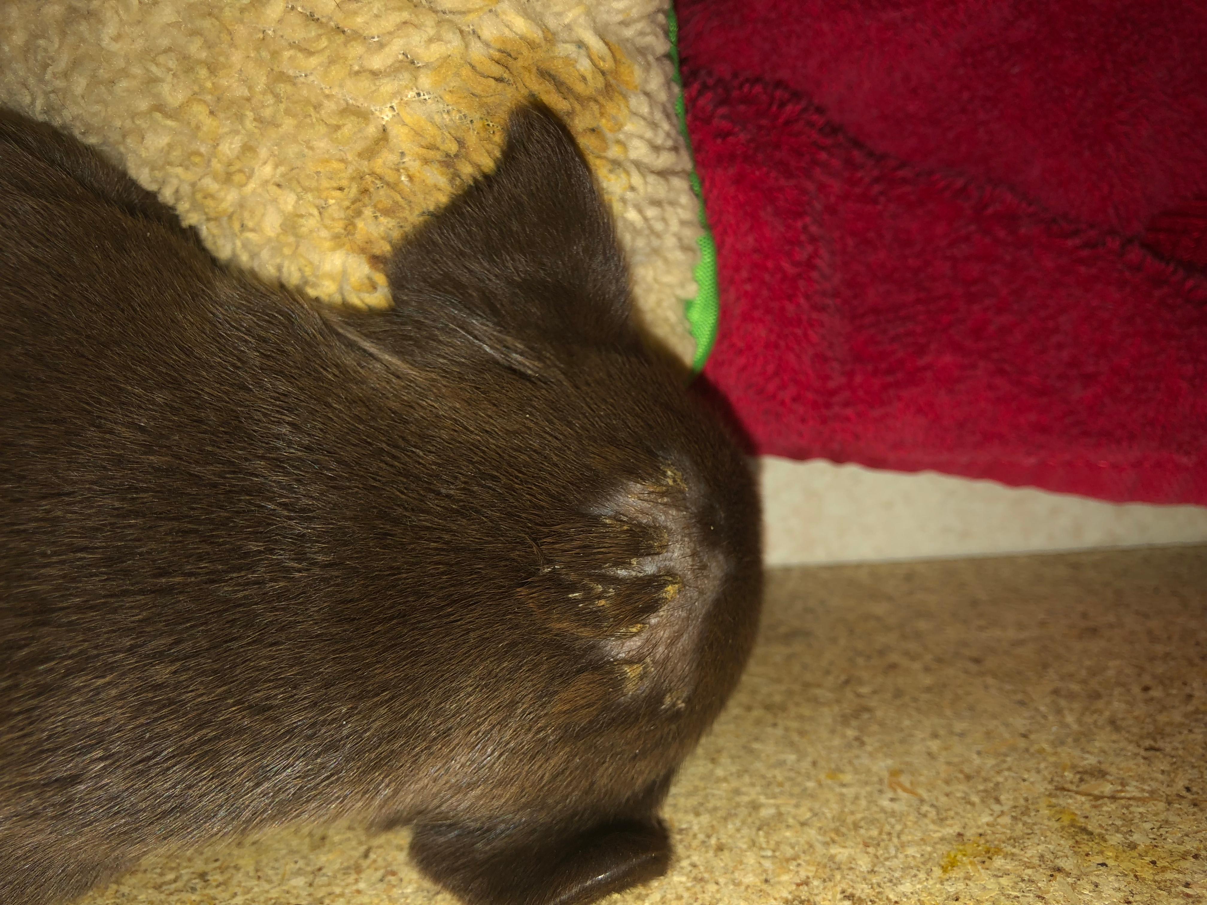 Question details sensitive content