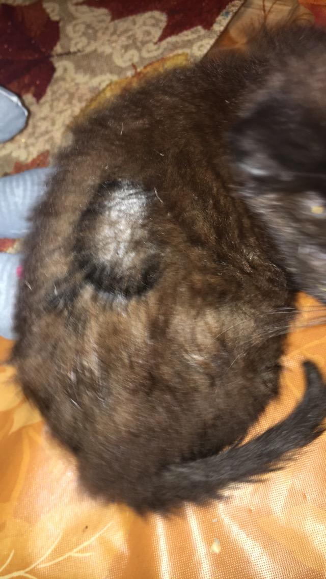 Question details sensitive content