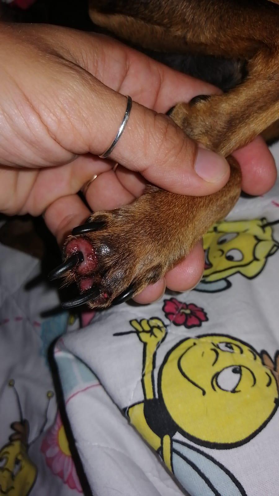 Question details sensitive content