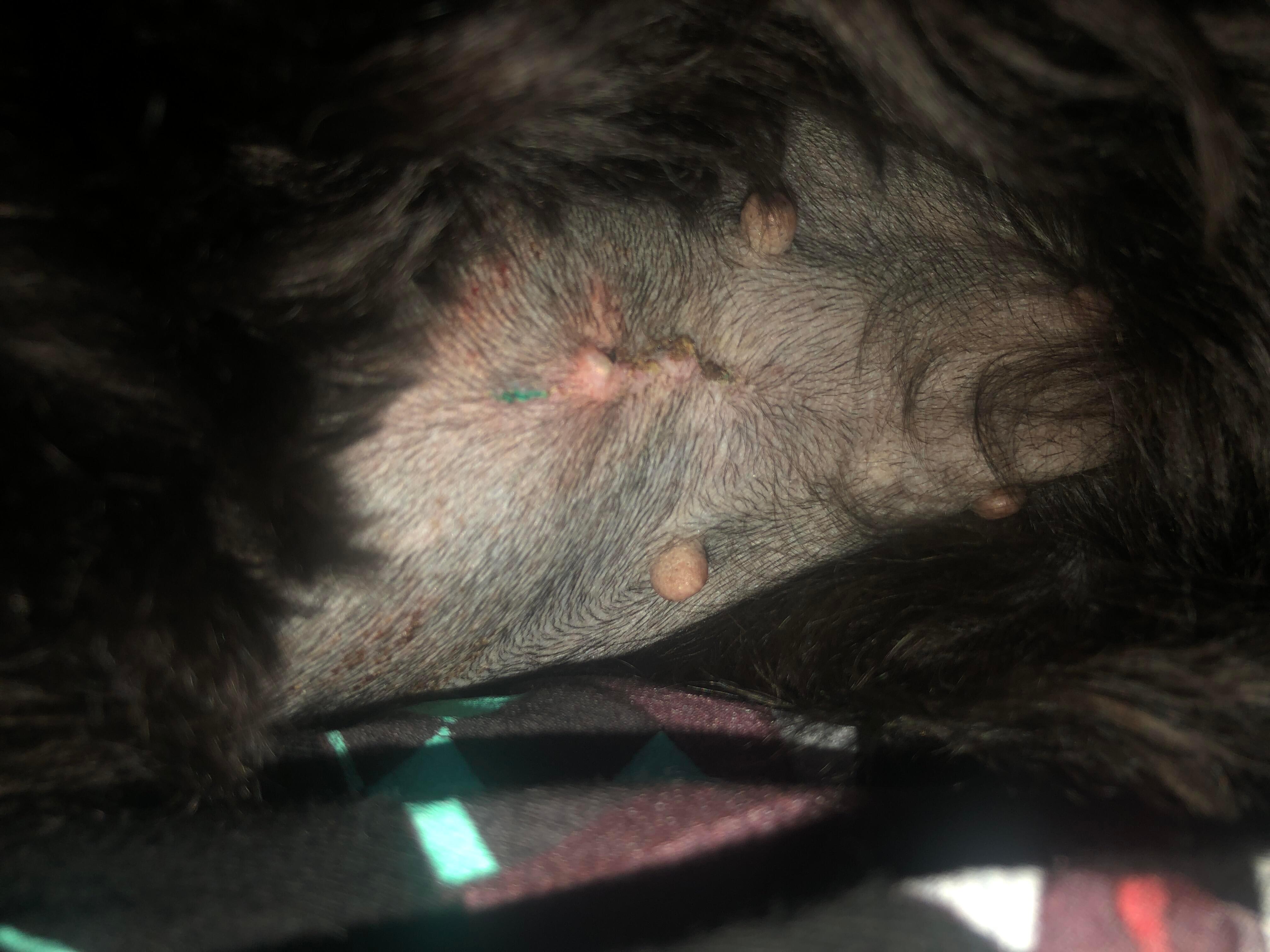 Question details sensitive content