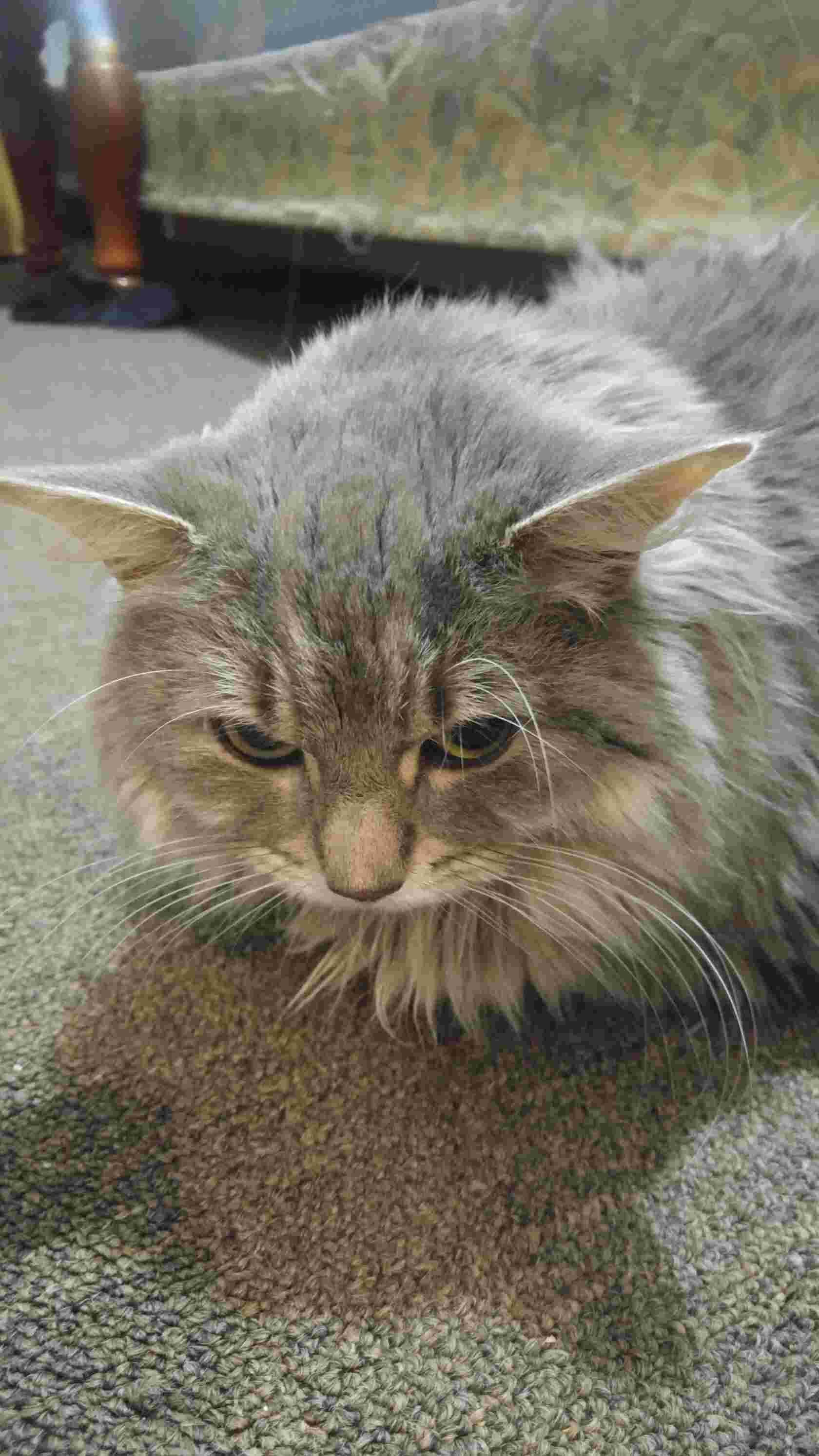 Question details sensitive content