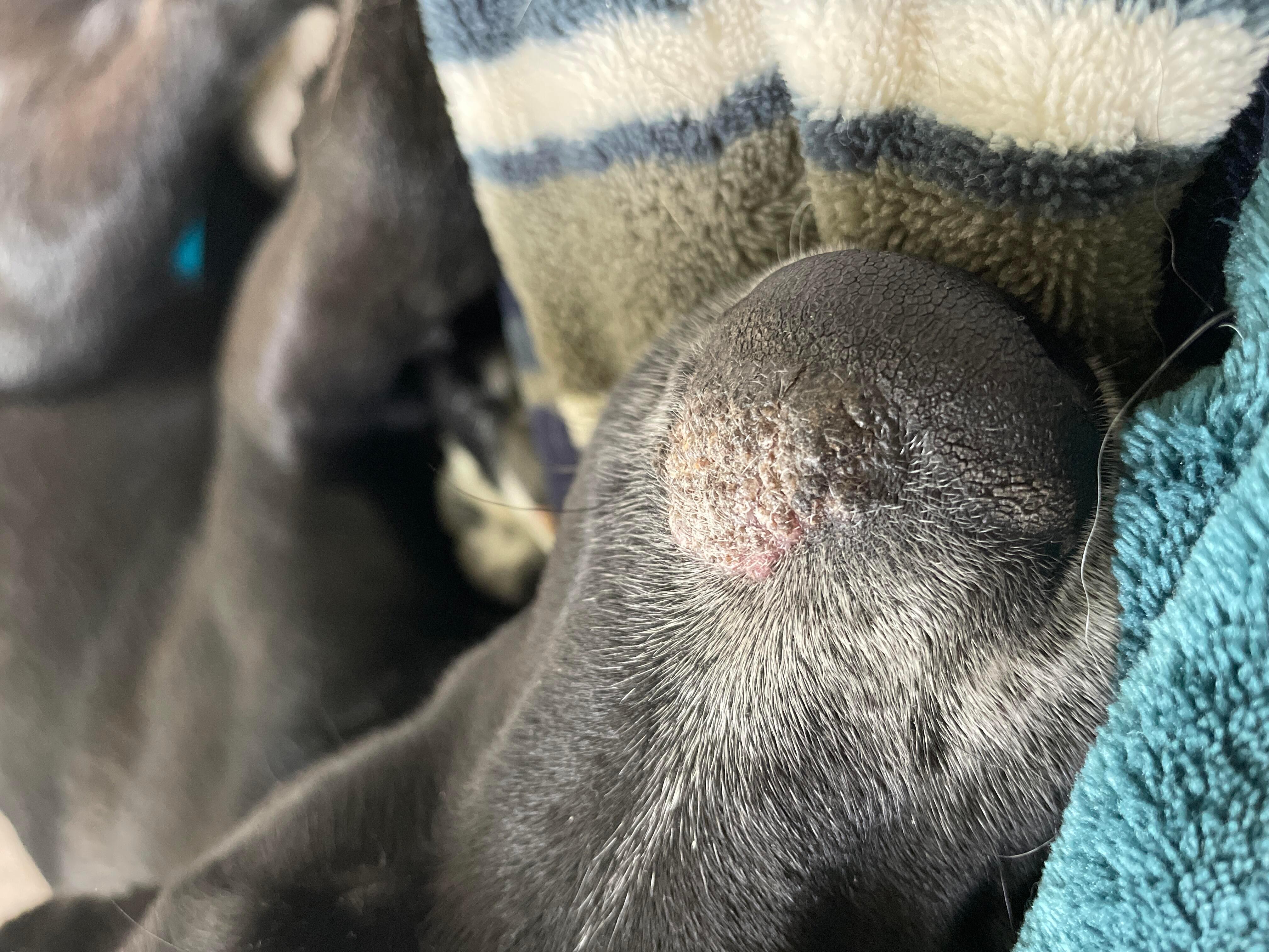 Question details sensitive content