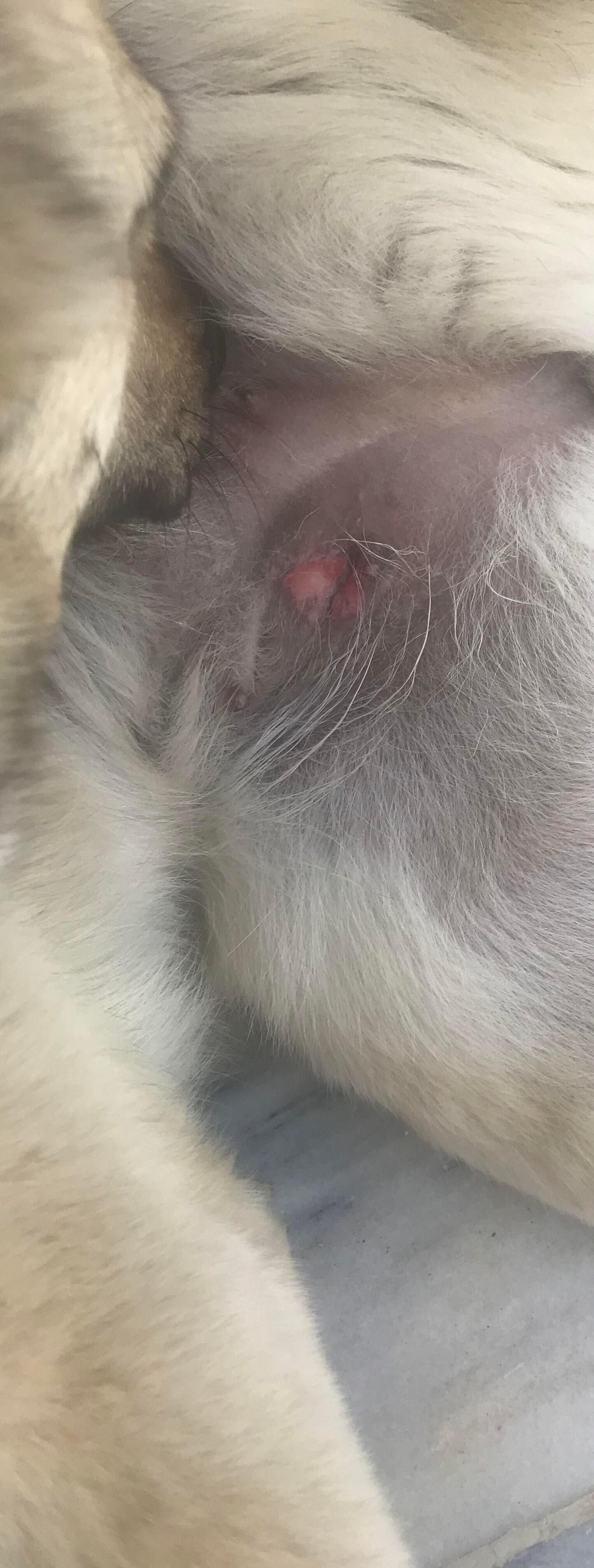 Question details sensitive content