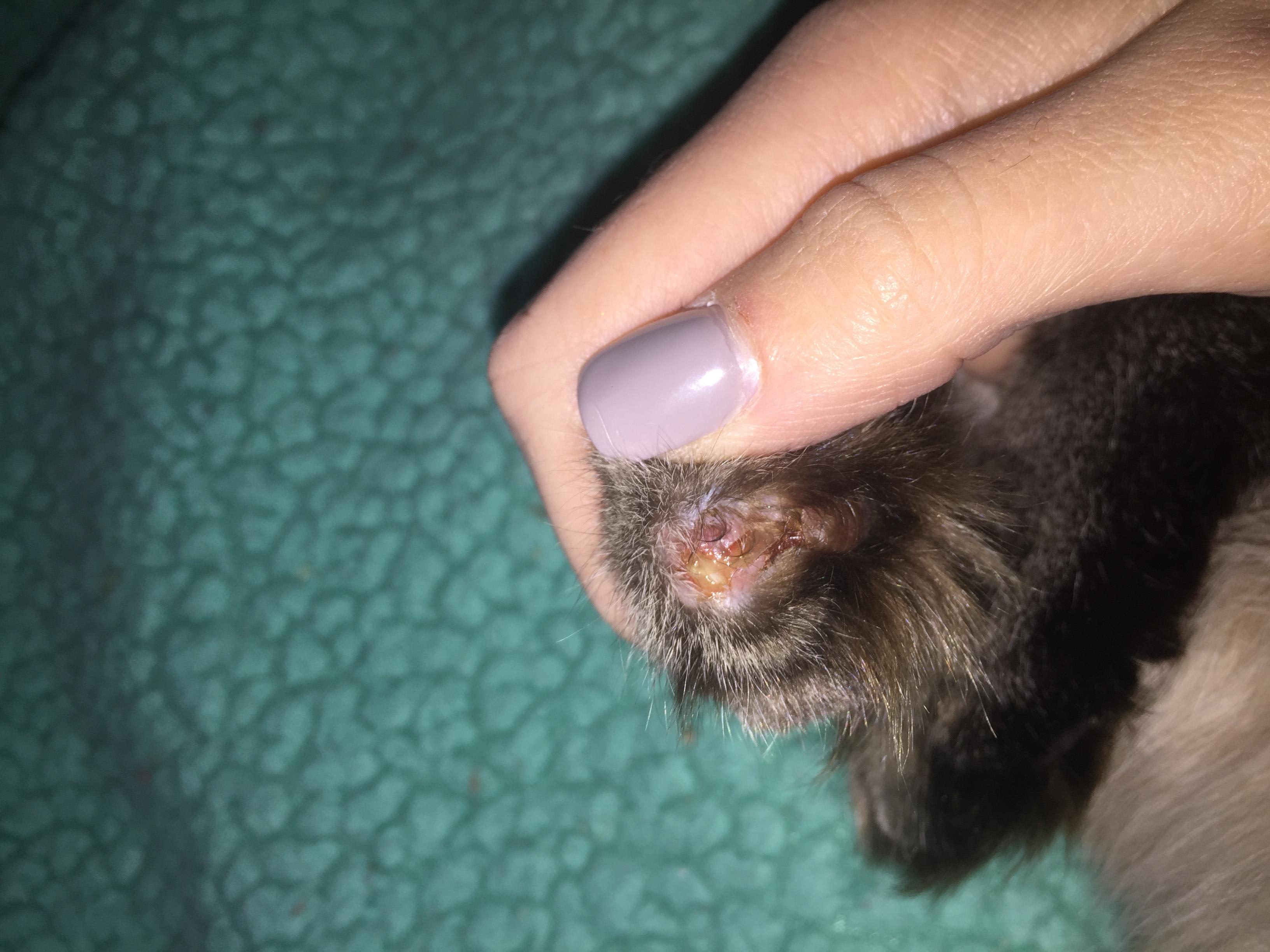 Question details sensitive content