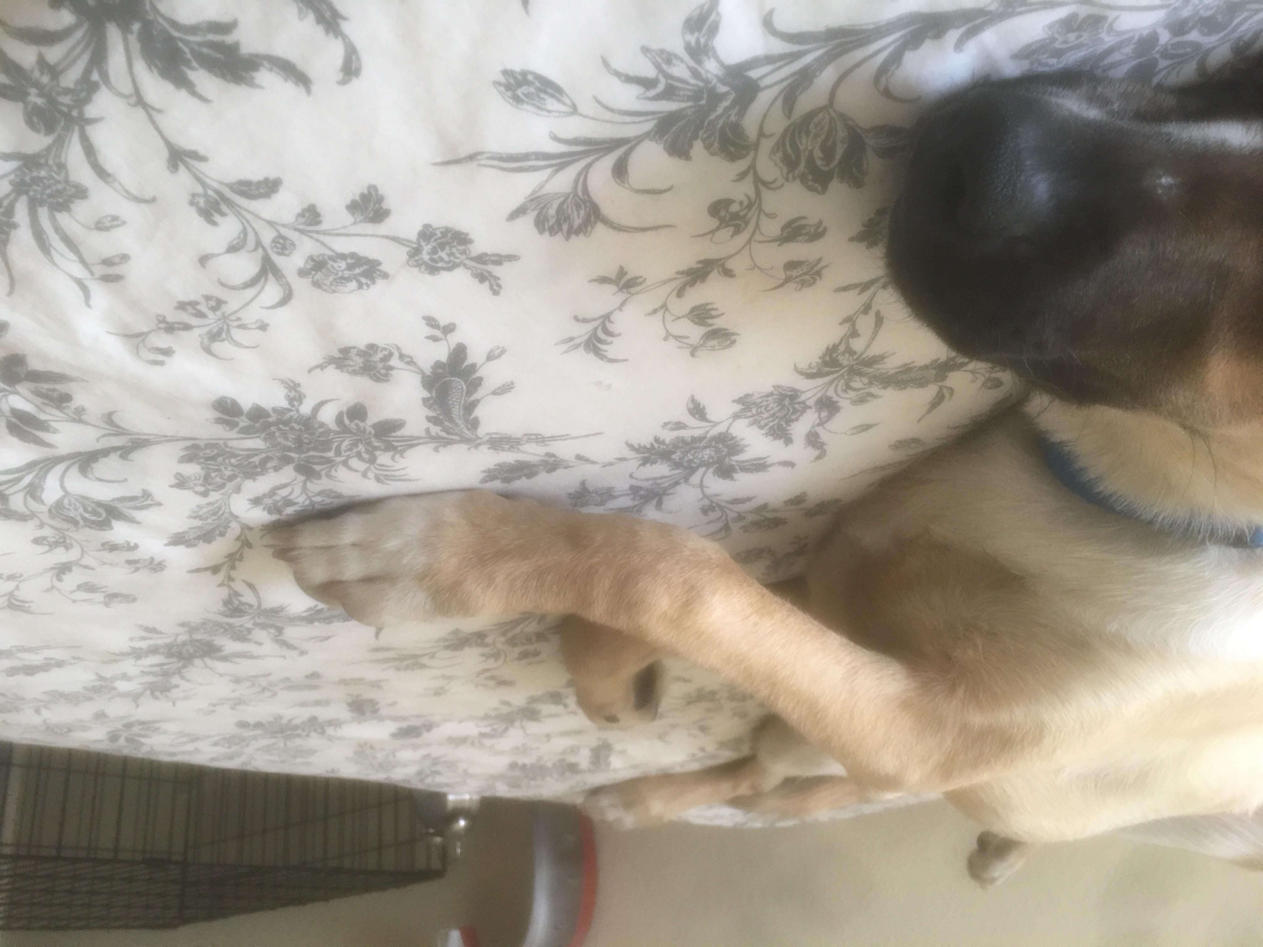 Question details sensitive content