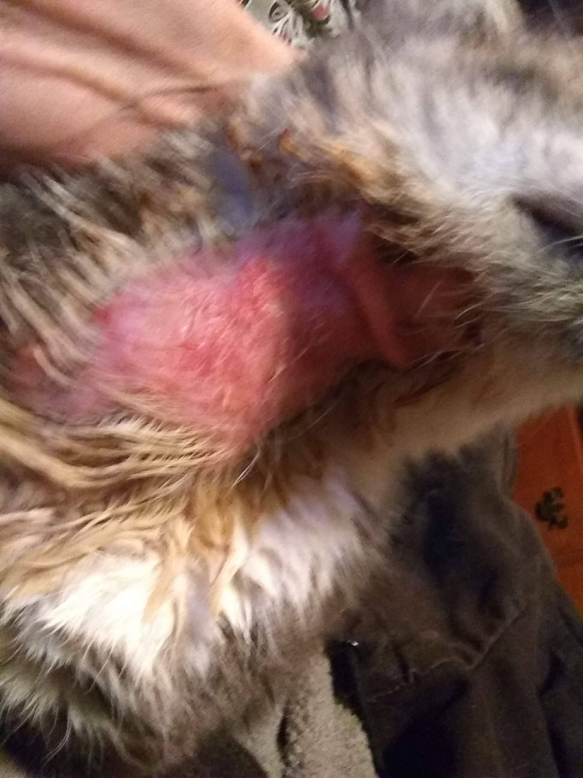 Question details sensitive content