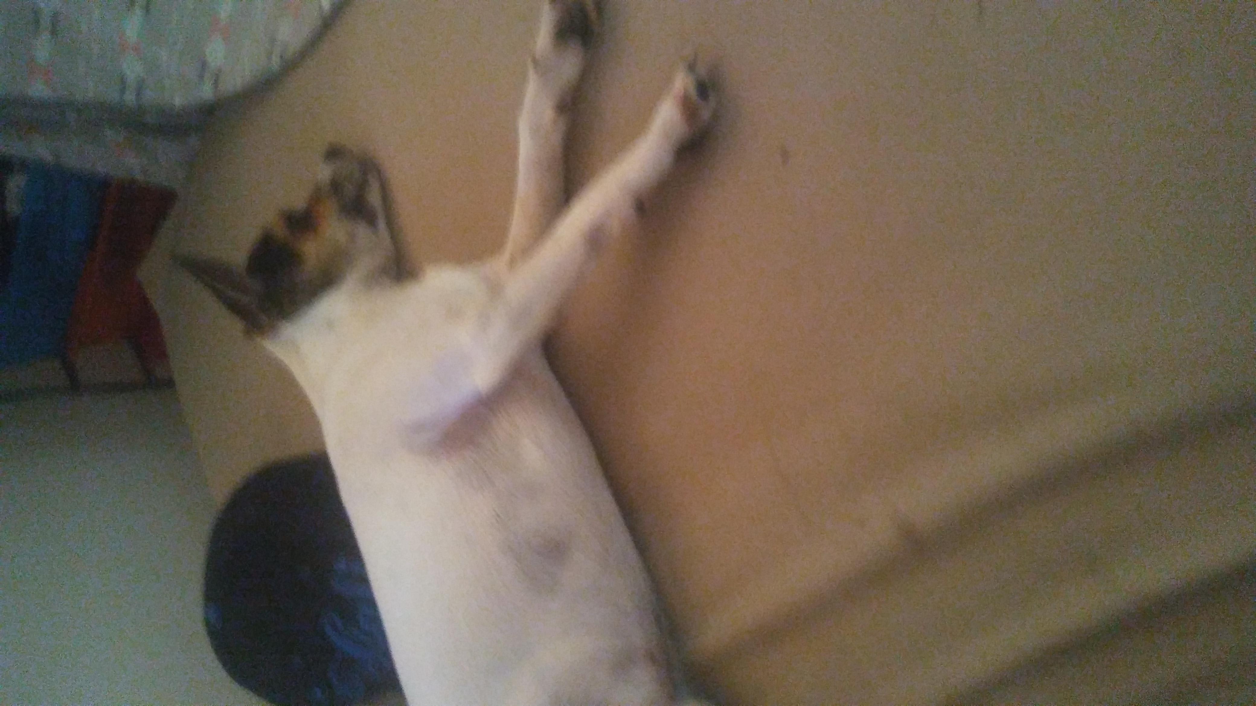 Question details sensitive content