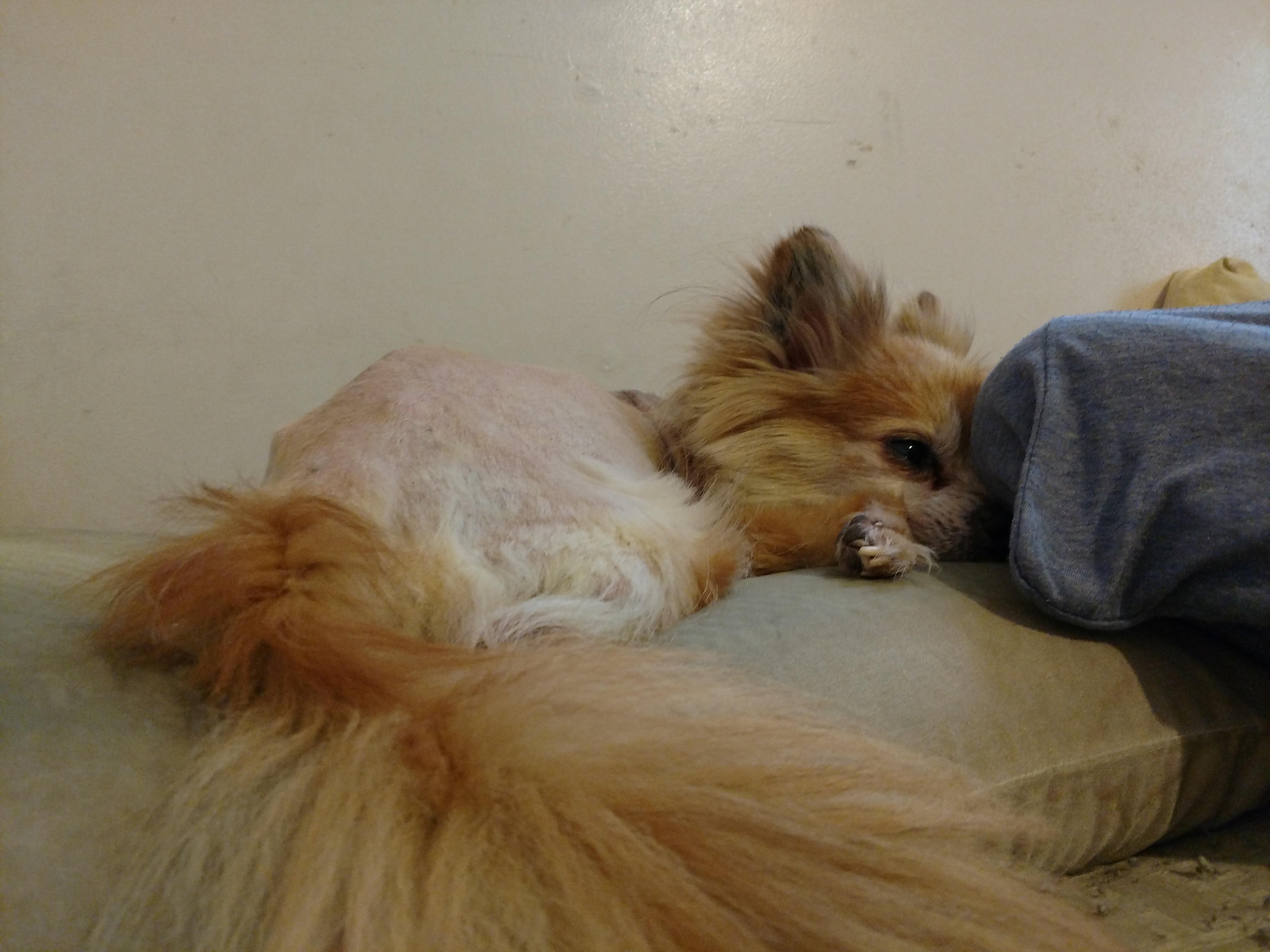 Question details sensitive content