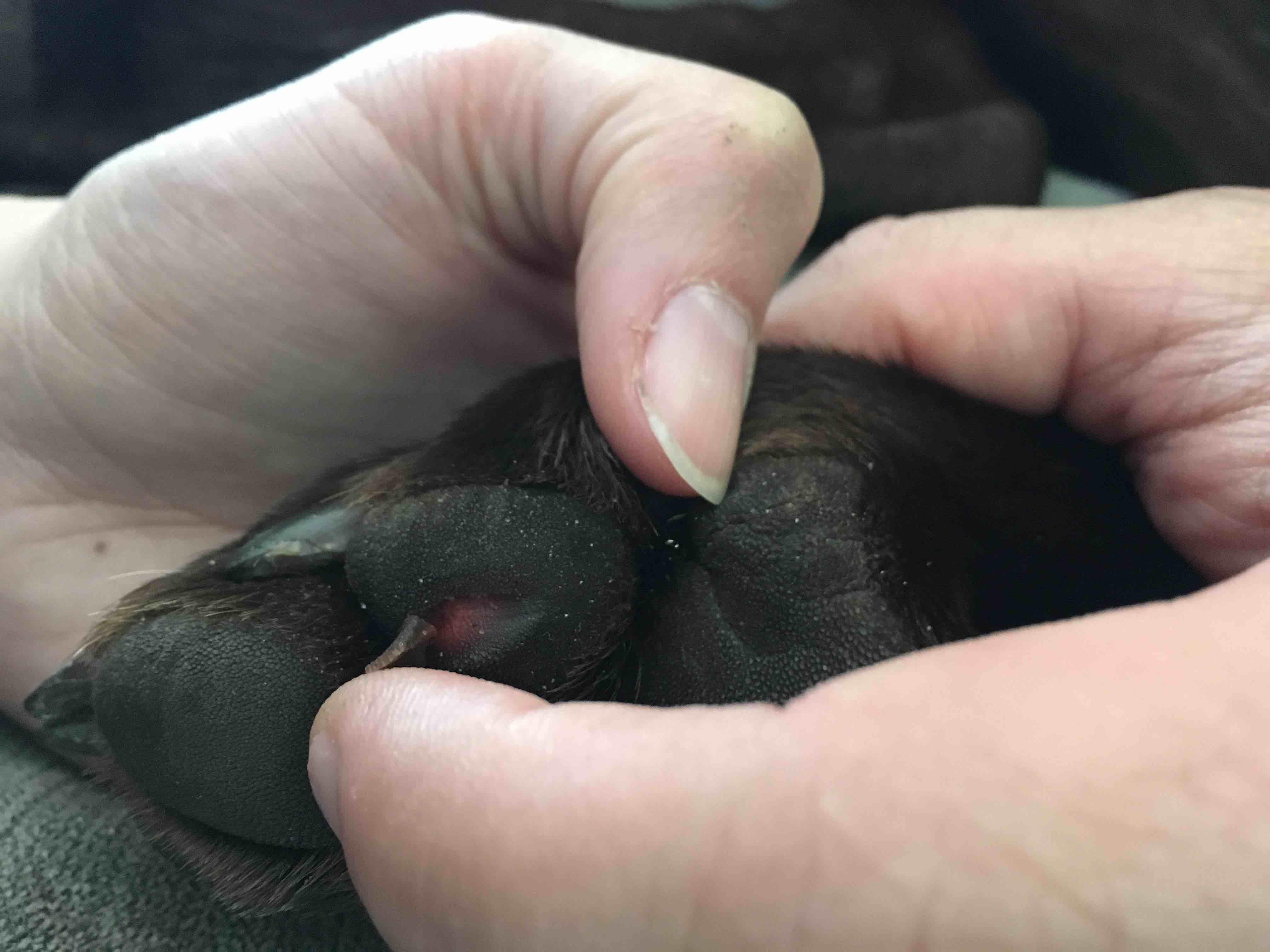 Question details sensitive content