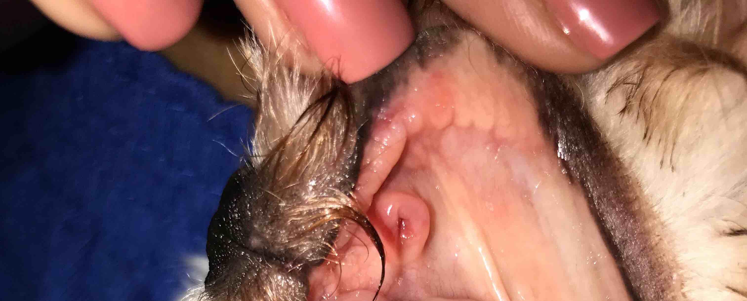 Question details sensitive content