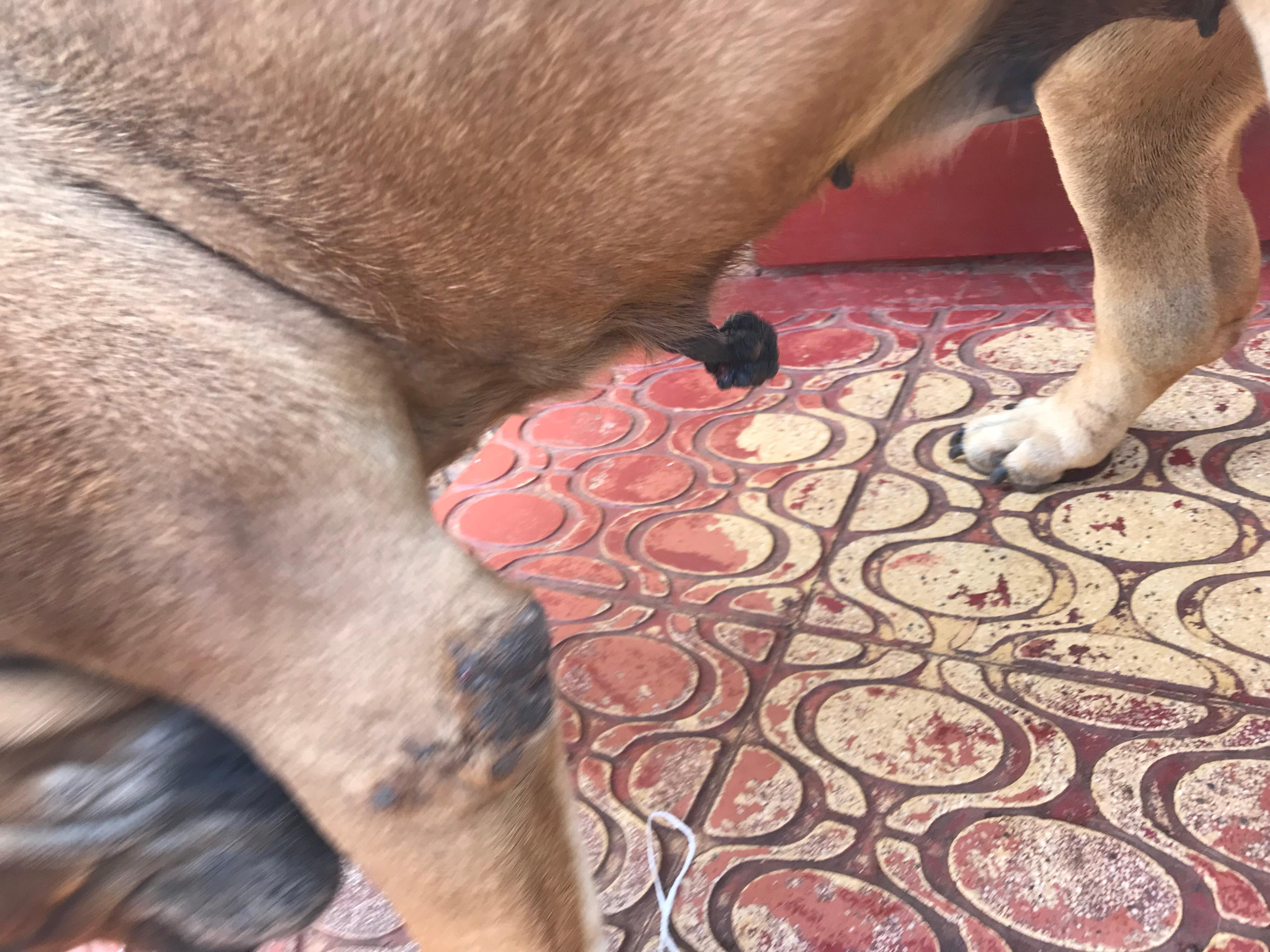 Question details sensitive content